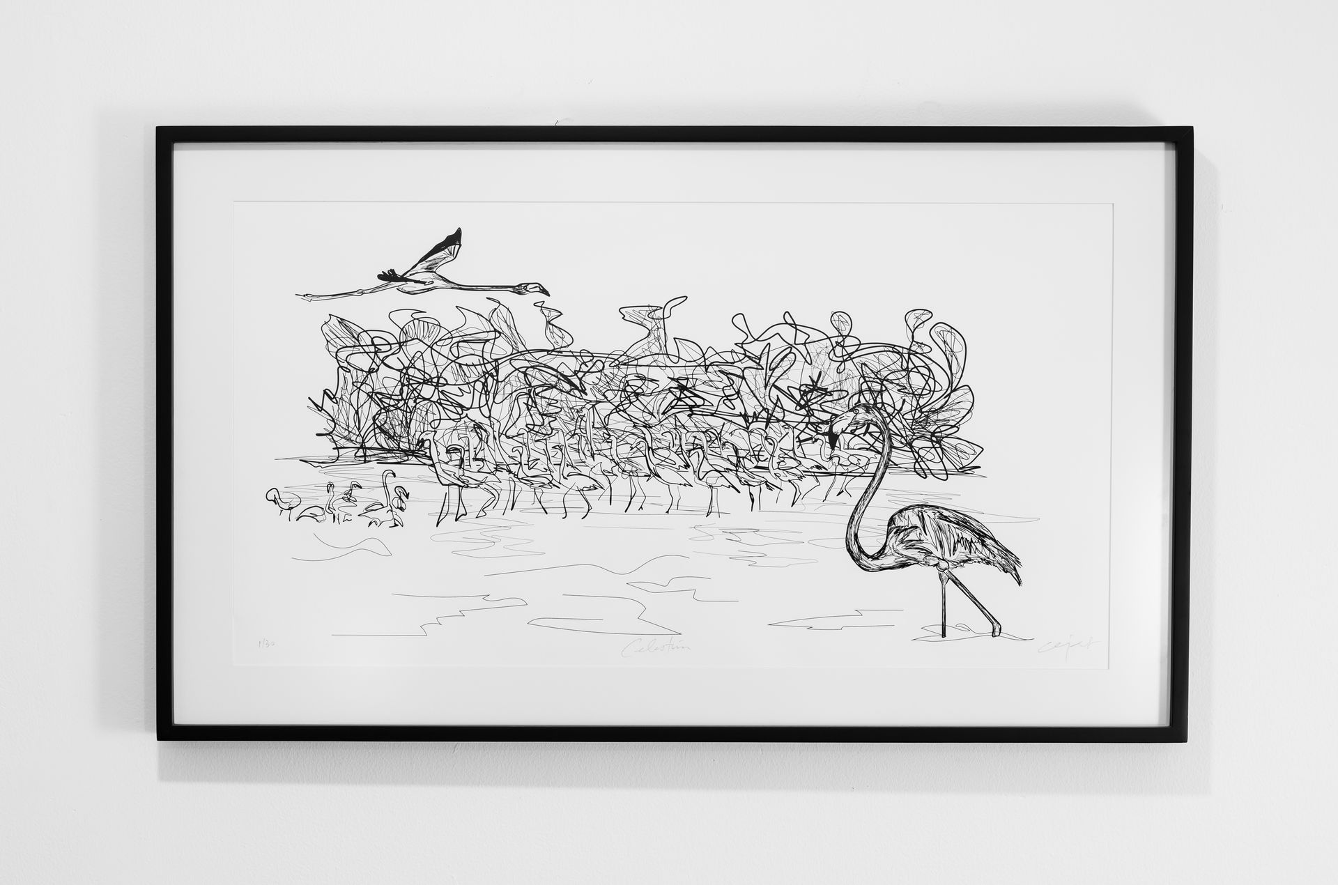 Un dibujo en blanco y negro de un pájaro en un marco.