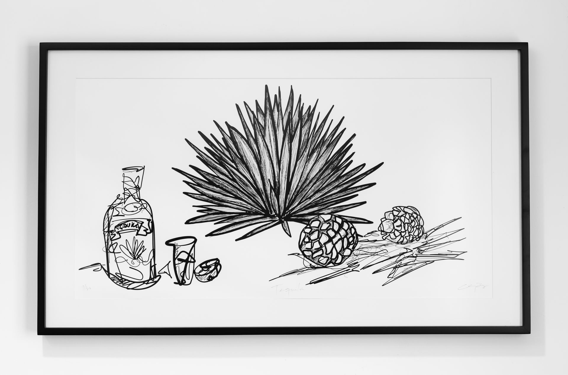 Un dibujo en blanco y negro de agave y una botella de tequila.