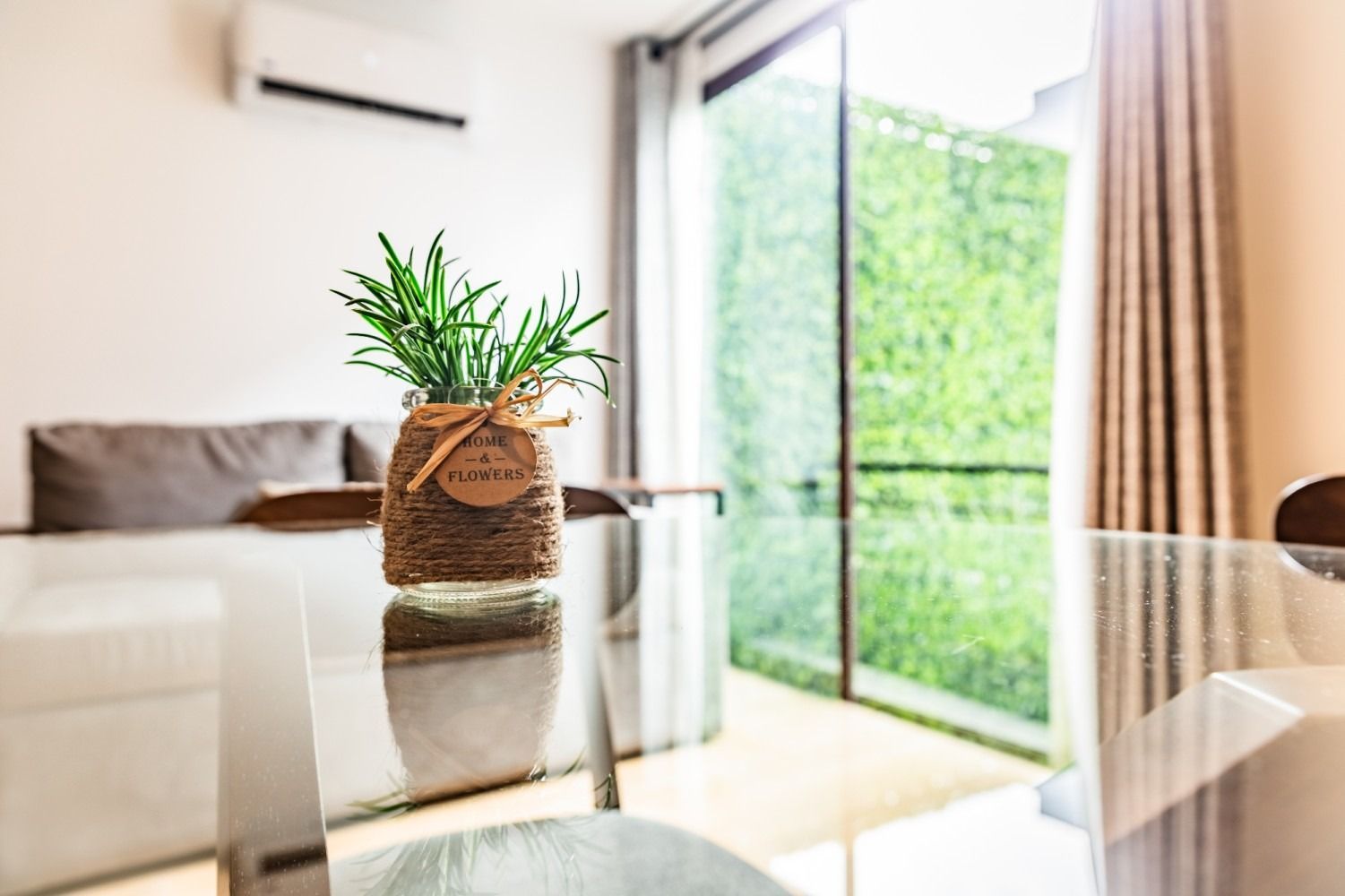 Una planta en maceta está colocada sobre una mesa de vidrio en una sala de estar.