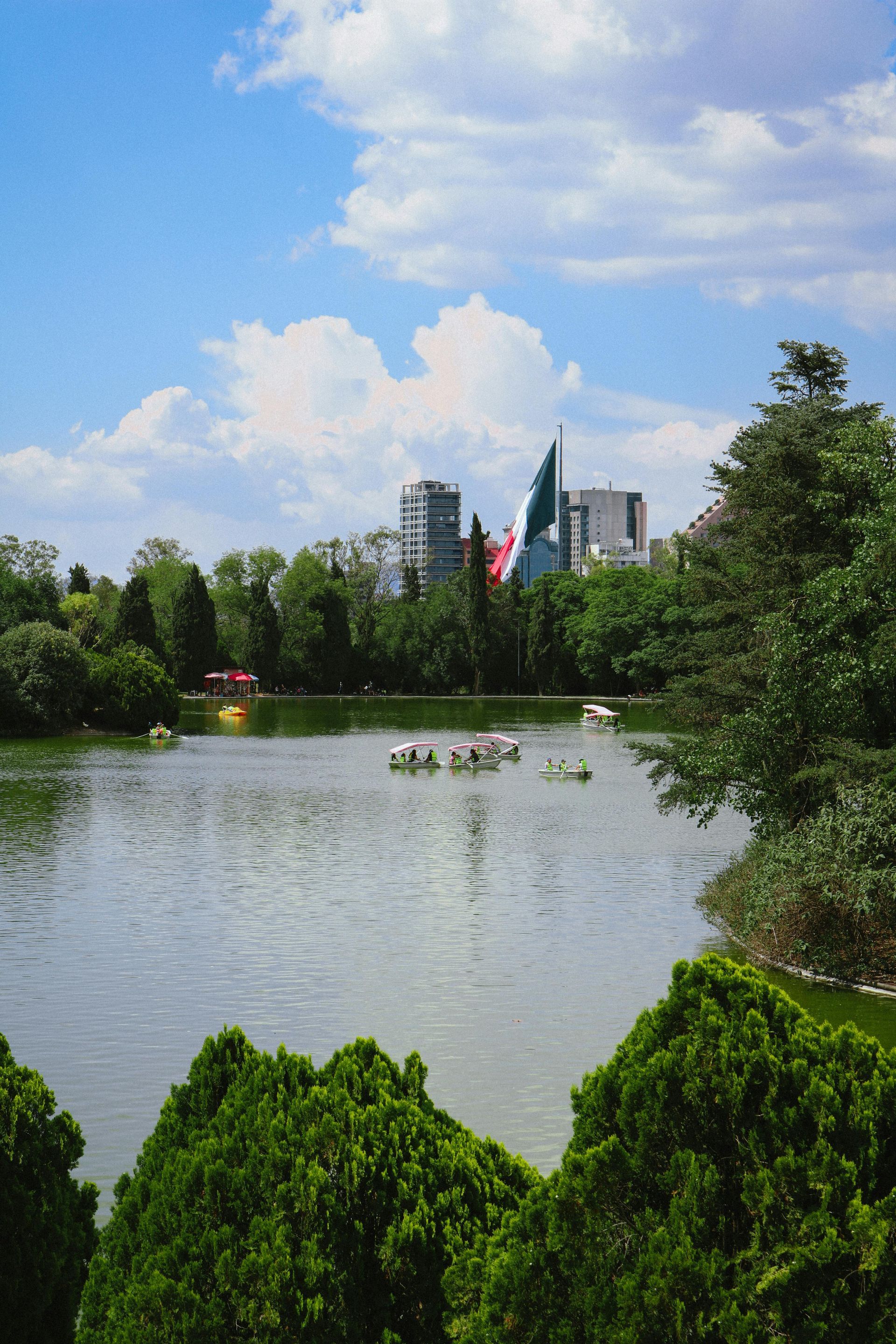 Un lago rodeado de árboles y edificios con patos nadando en él.