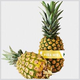 PIÑA
