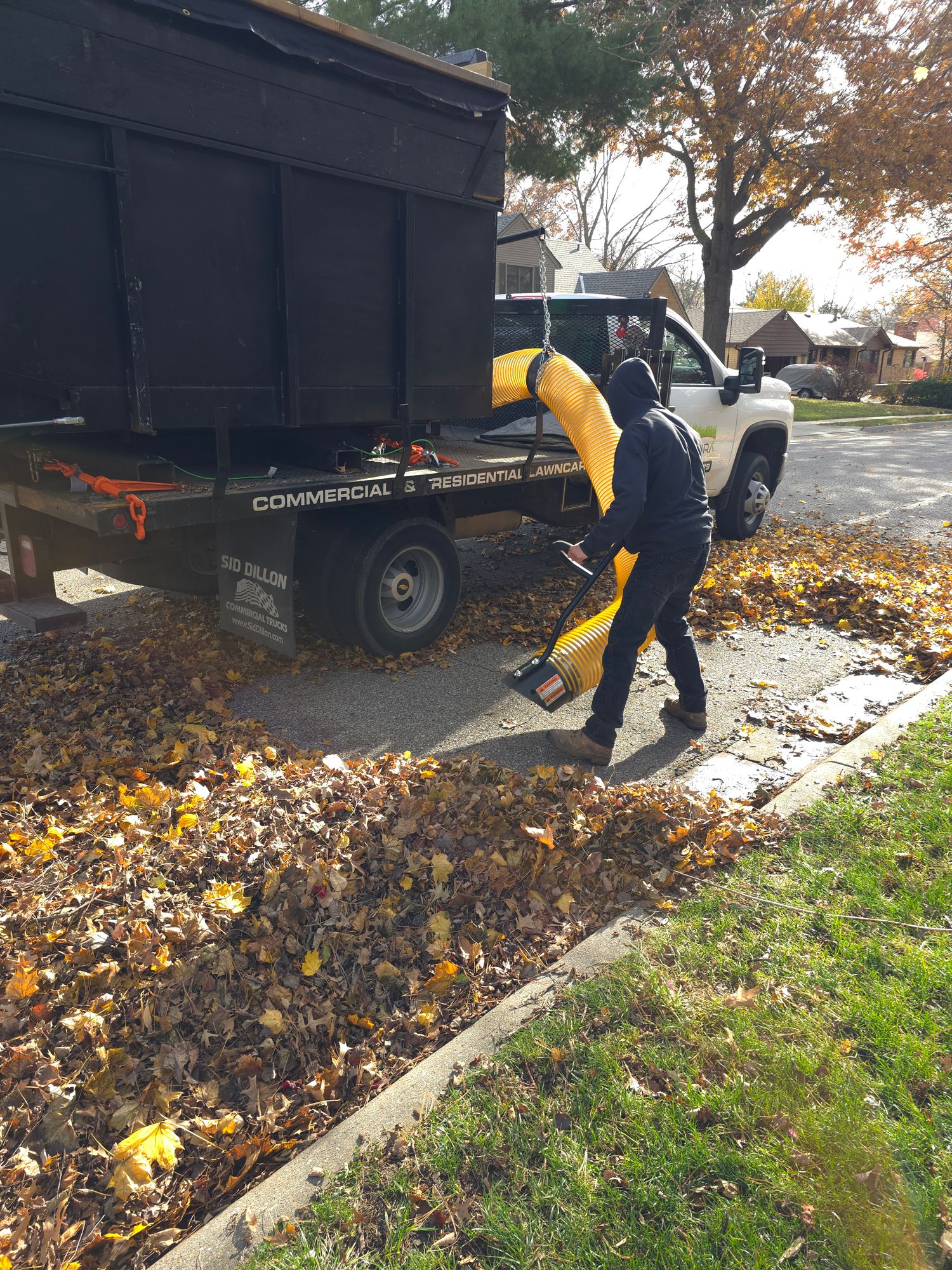 Leaf Removal