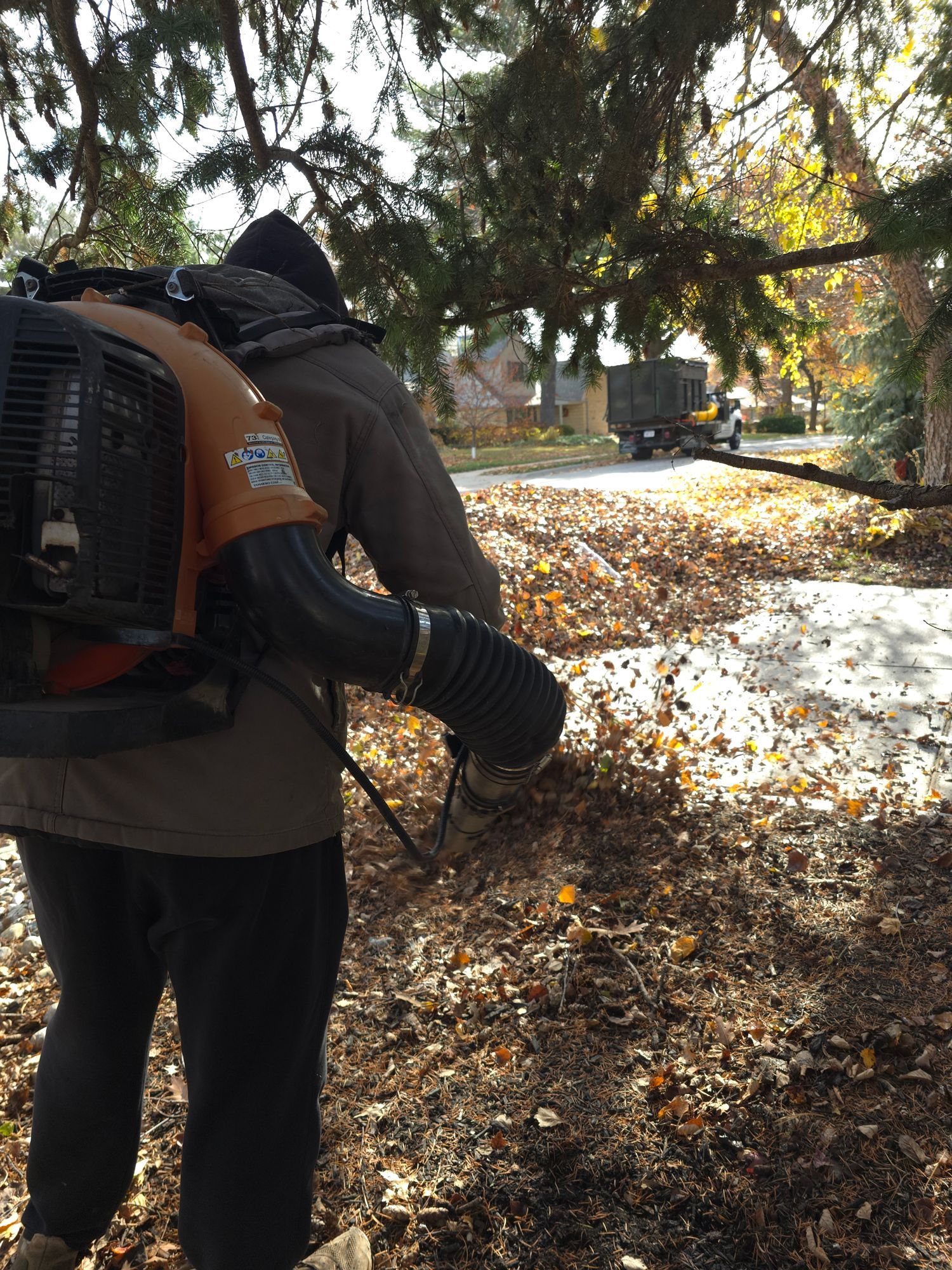 Person with backpack leaf-blower clearing autumn leaves on a sunlit path under trees