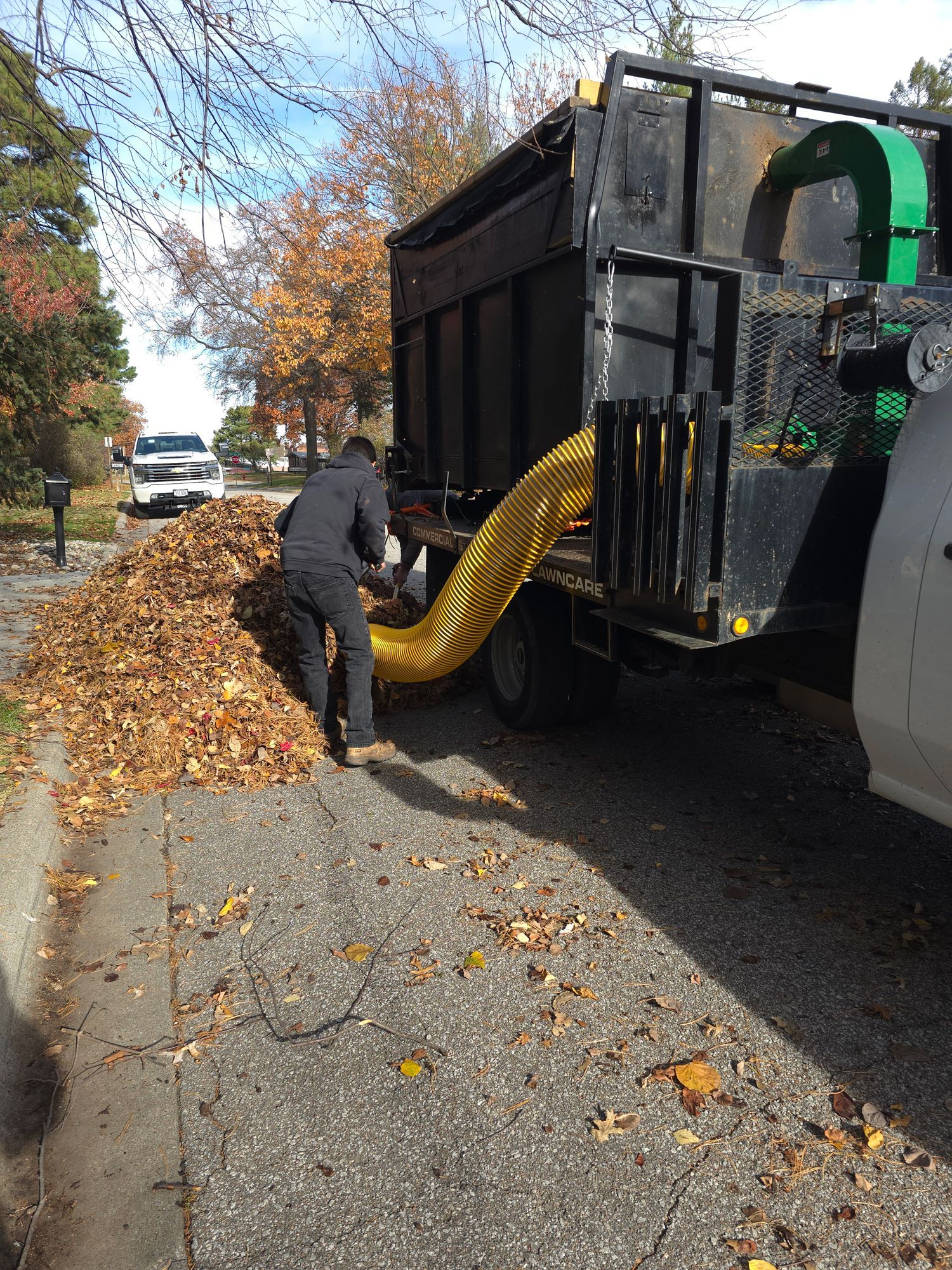 Worker using a yellow hose to clear leaves into a black truck on a tree-lined street.
