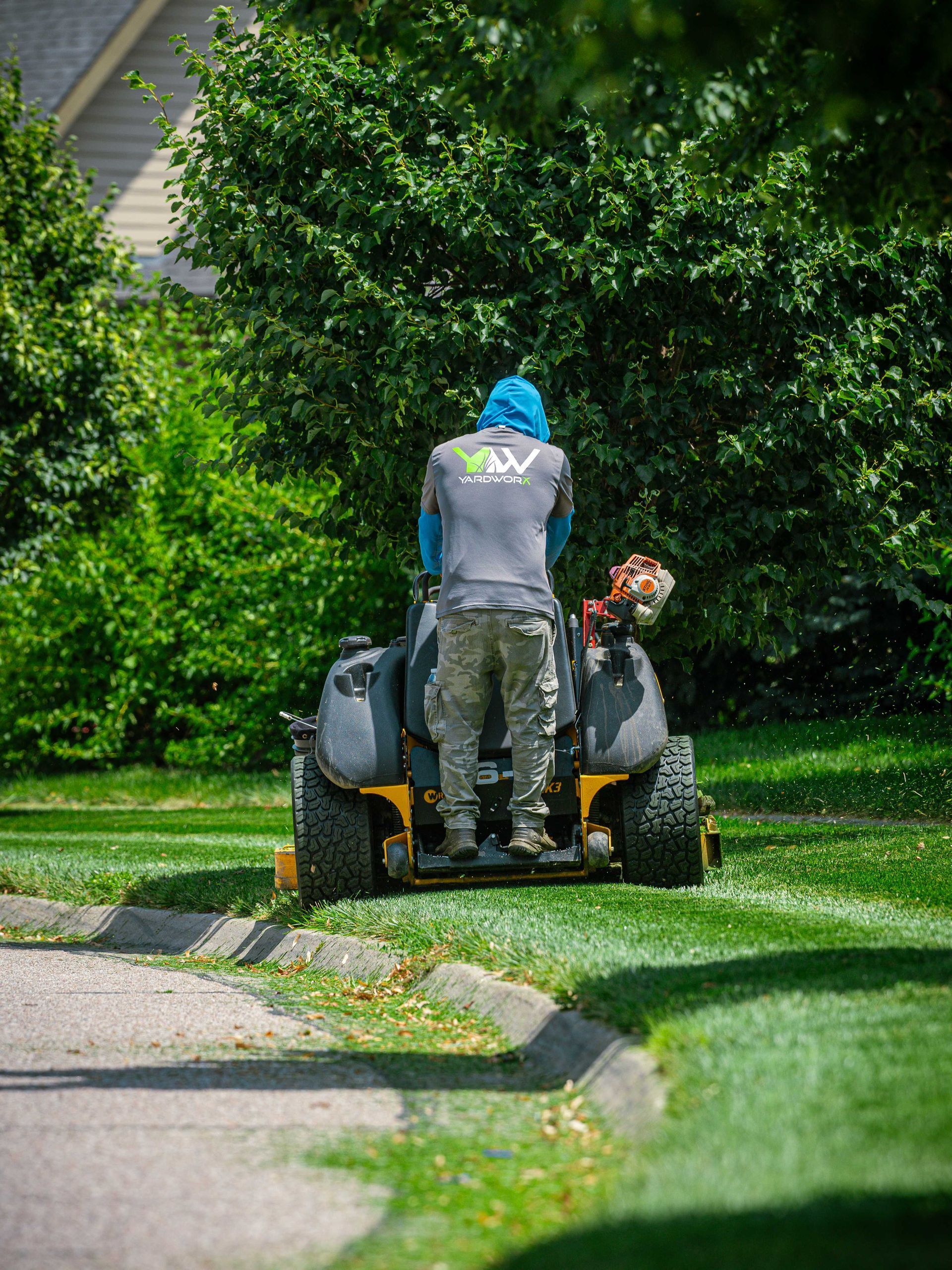 Person mowing a lawn with a ride-on mower beside a sidewalk and bushes