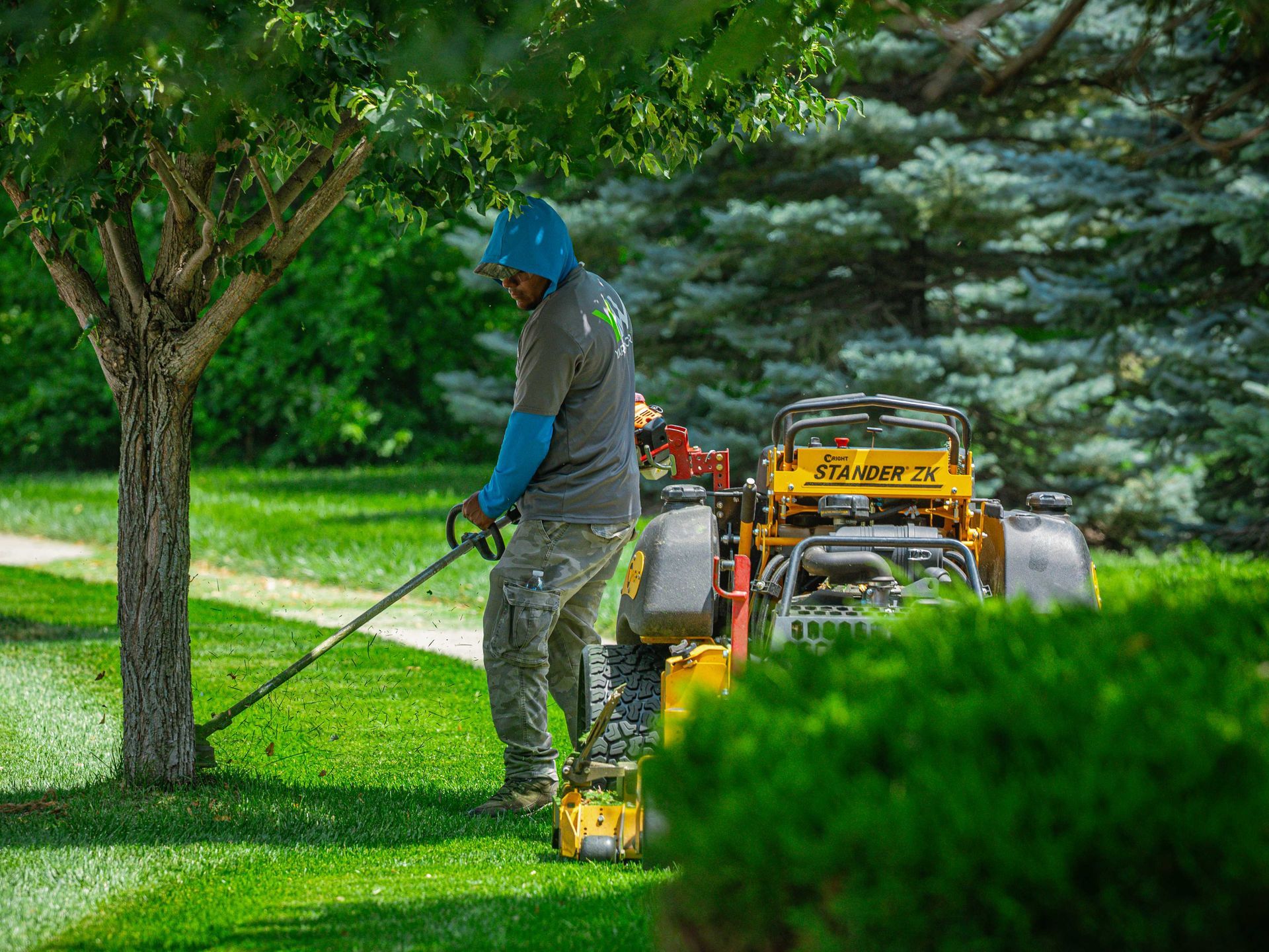 Worker mowing a green lawn near a tree, using a yellow ride-on mower outdoors.