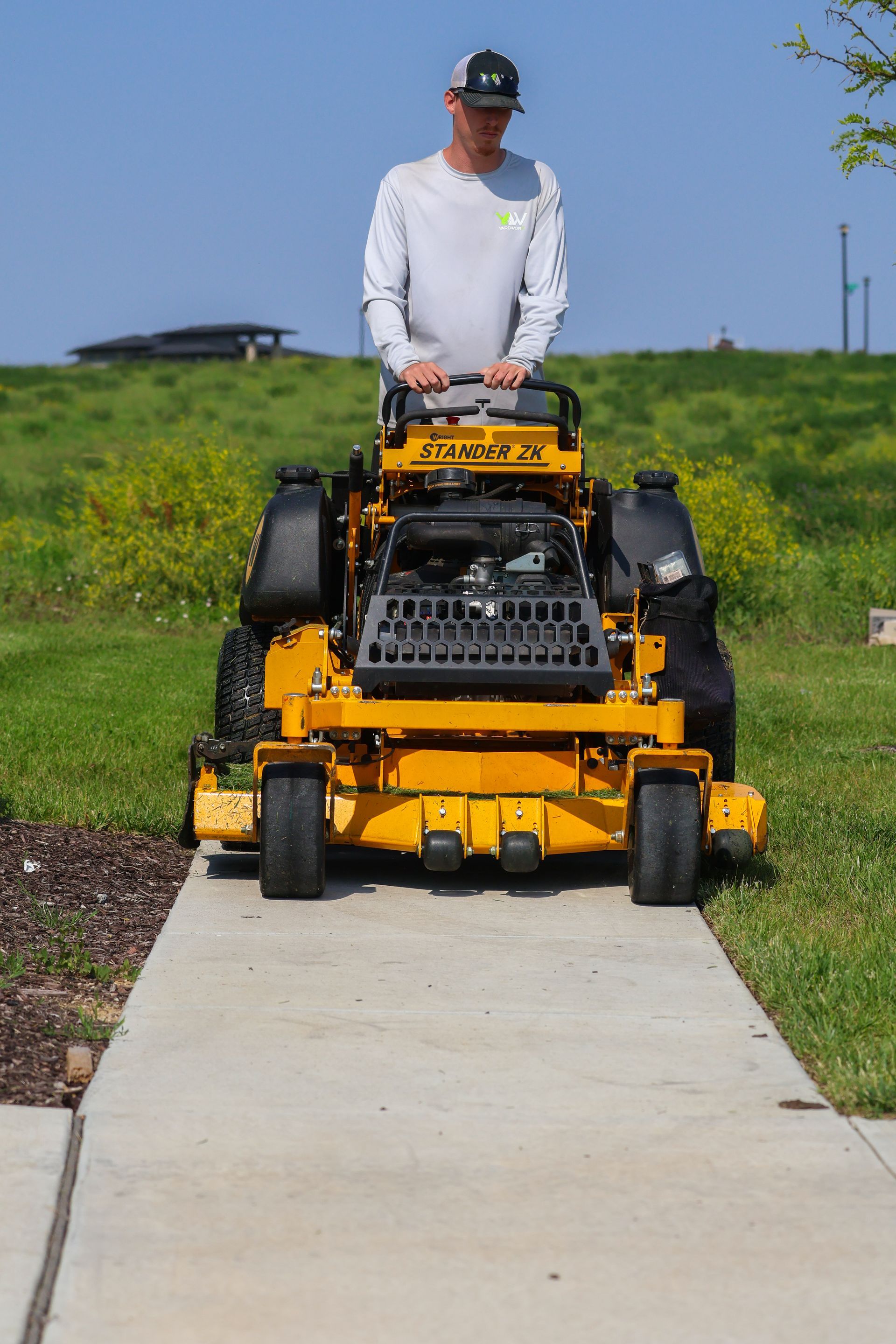 Man on yellow zero-turn mower mowing grass next to a concrete walkway on a sunny day.