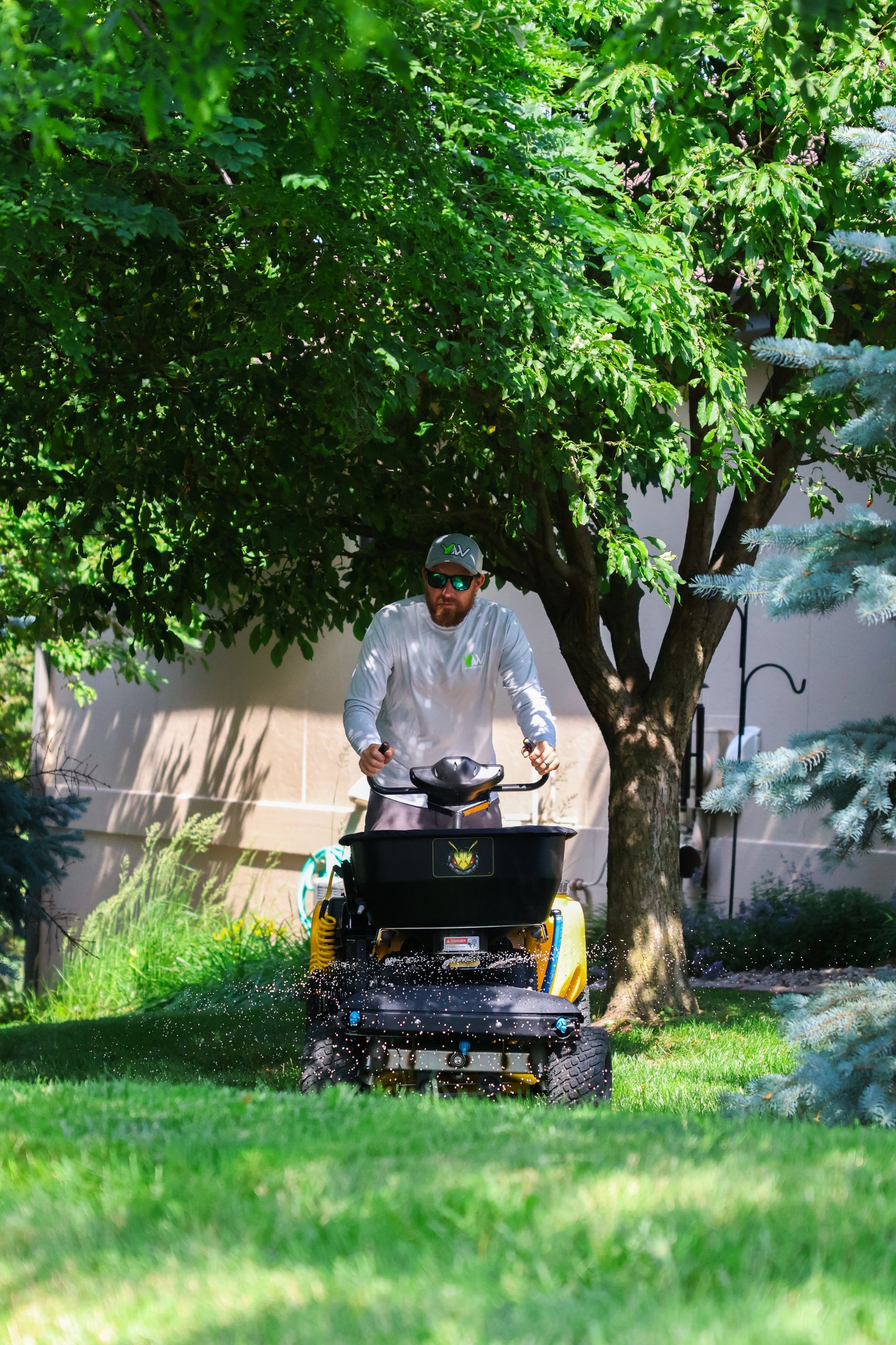 Man operating spreader on lawn under a tree, spreading fertilizer.