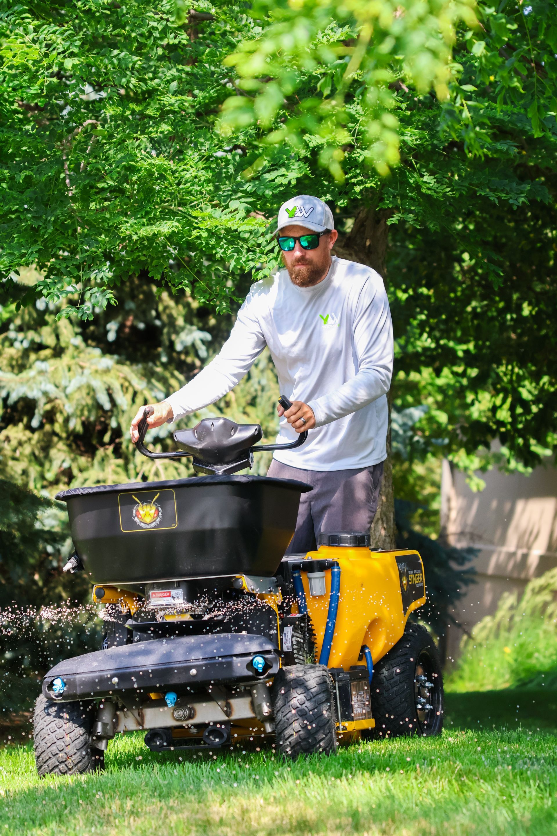 Man operating a yellow and black spreader on grass, applying product.