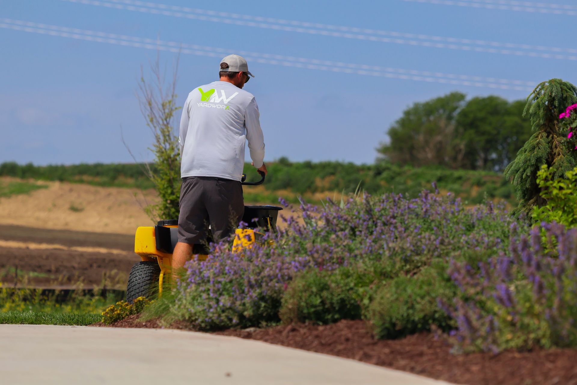 Man operating a small yellow landscaping machine along a purple flower bed on a sunny day.