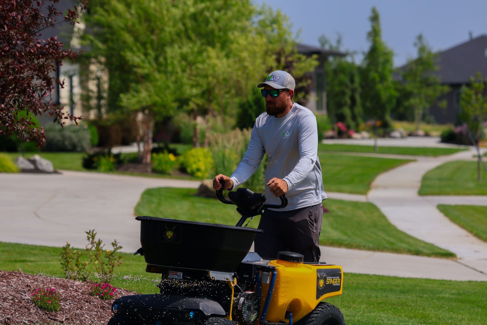 Person operating a yellow lawn spreader on a green lawn in a suburban setting.