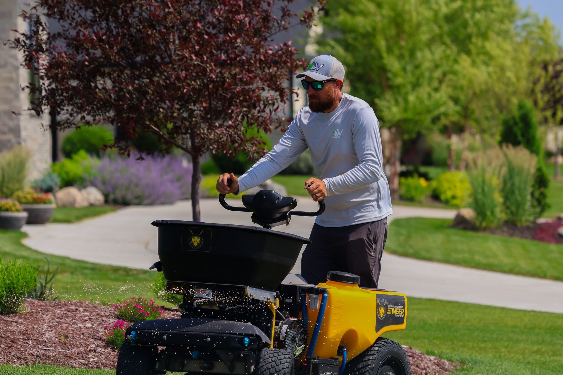 Man operating a yellow lawn spreader on a green lawn.