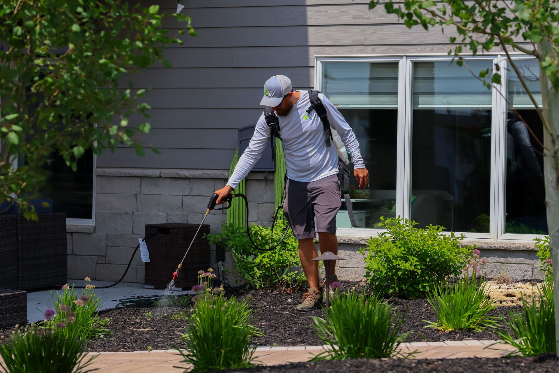Person sprays a garden bed next to a house with black mulch.