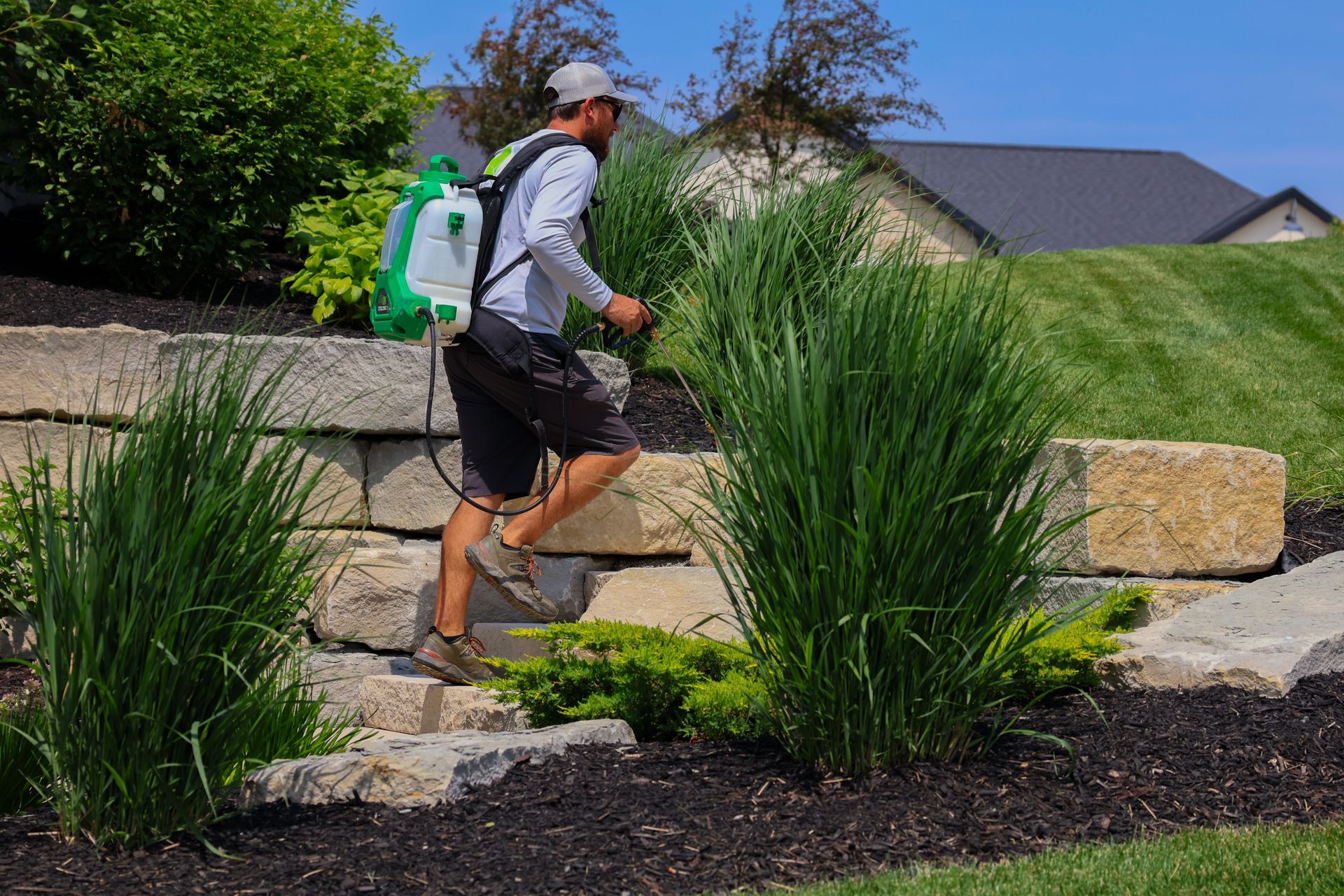 Man spraying plants with a backpack sprayer in a landscaped yard.