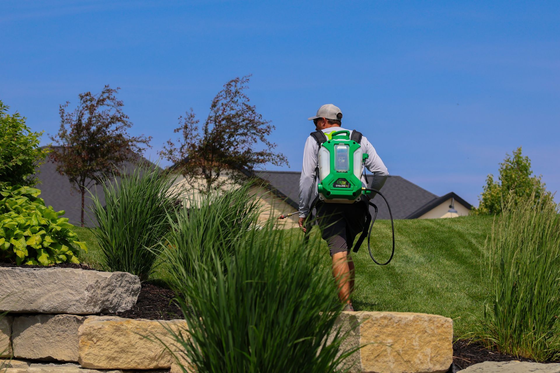 Man spraying lawn with backpack sprayer on a sunny day.
