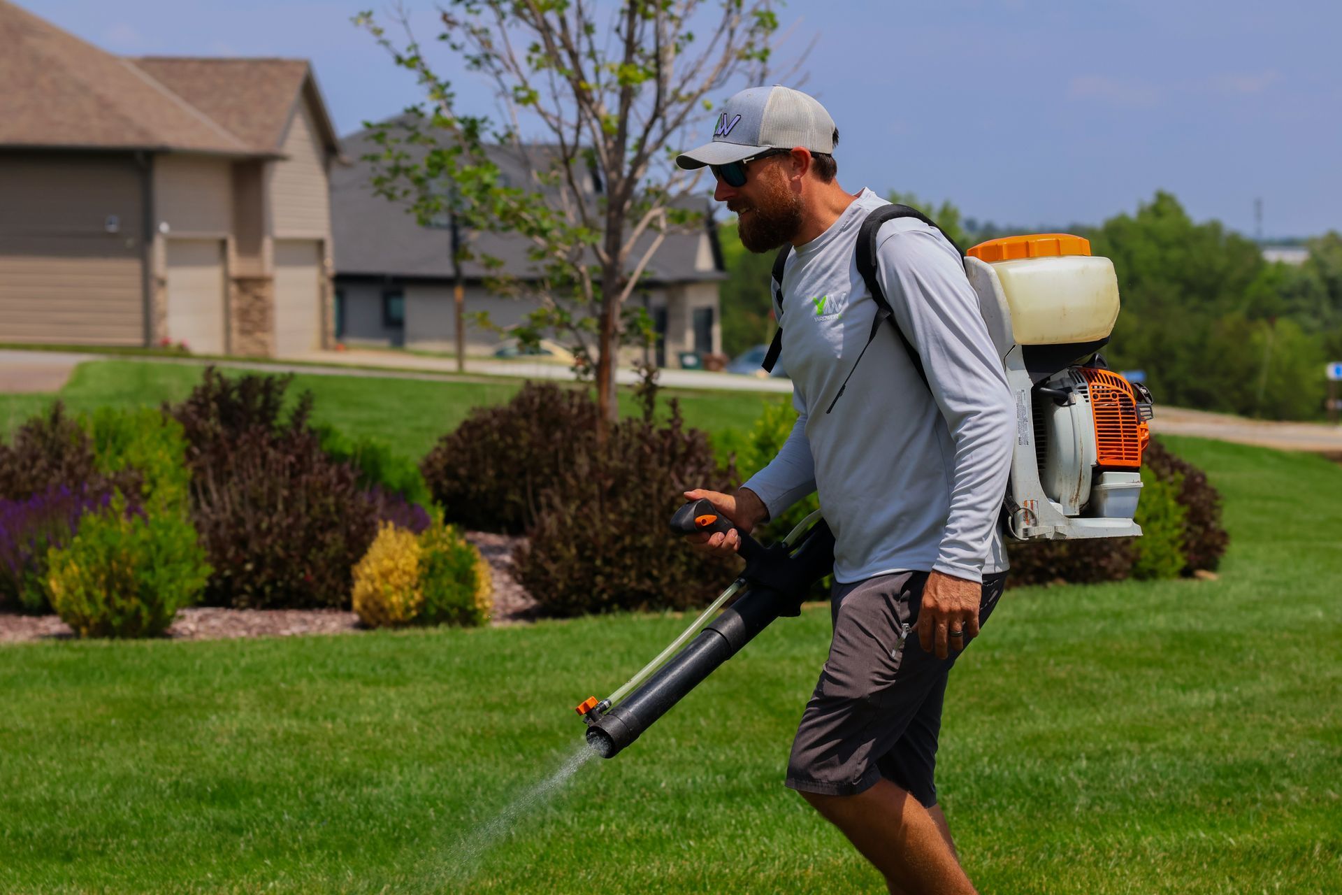 Man spraying lawn with backpack sprayer. Green grass, bushes, houses in background.