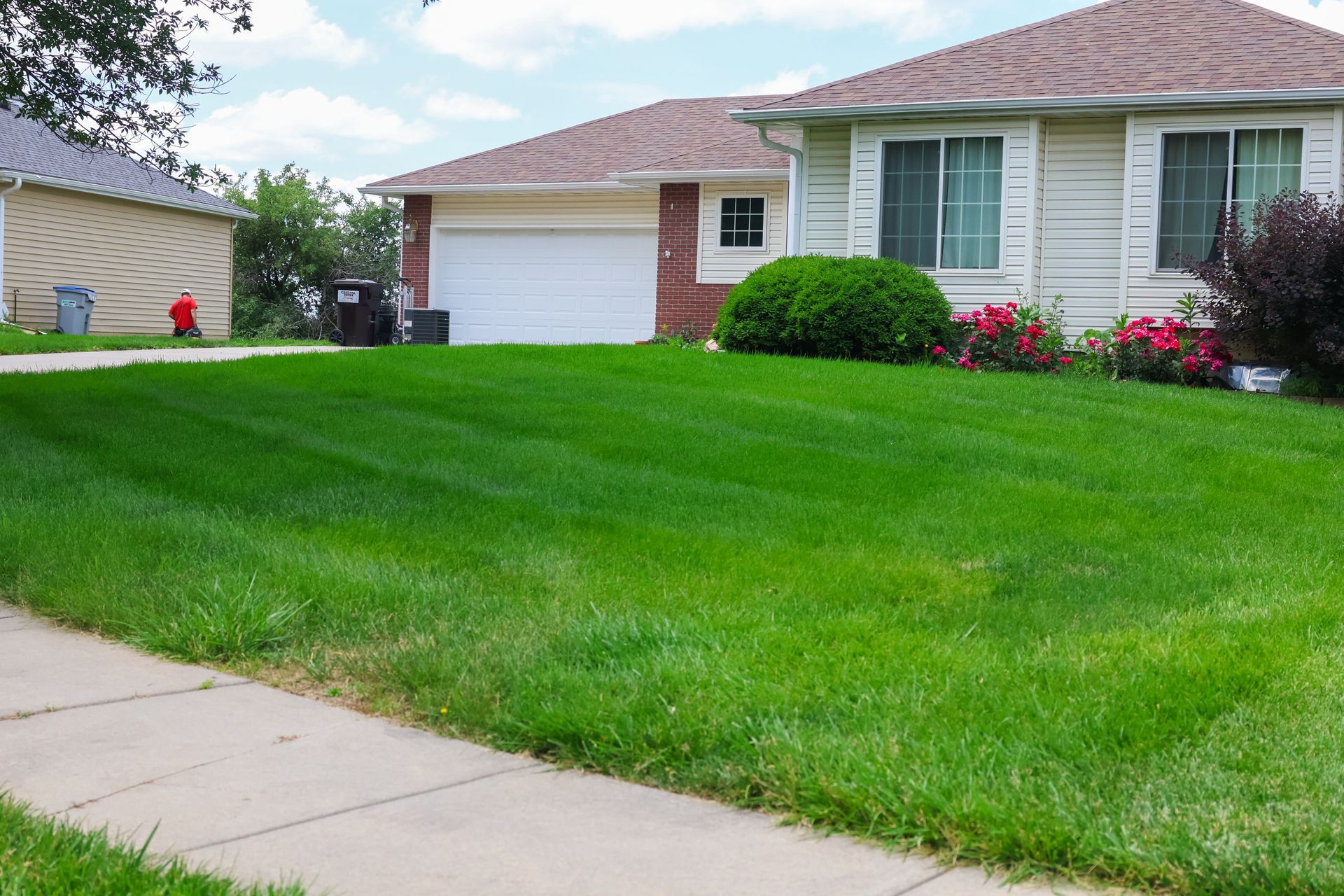 Lush green lawn in front of a house with a white garage door, sidewalk in foreground.