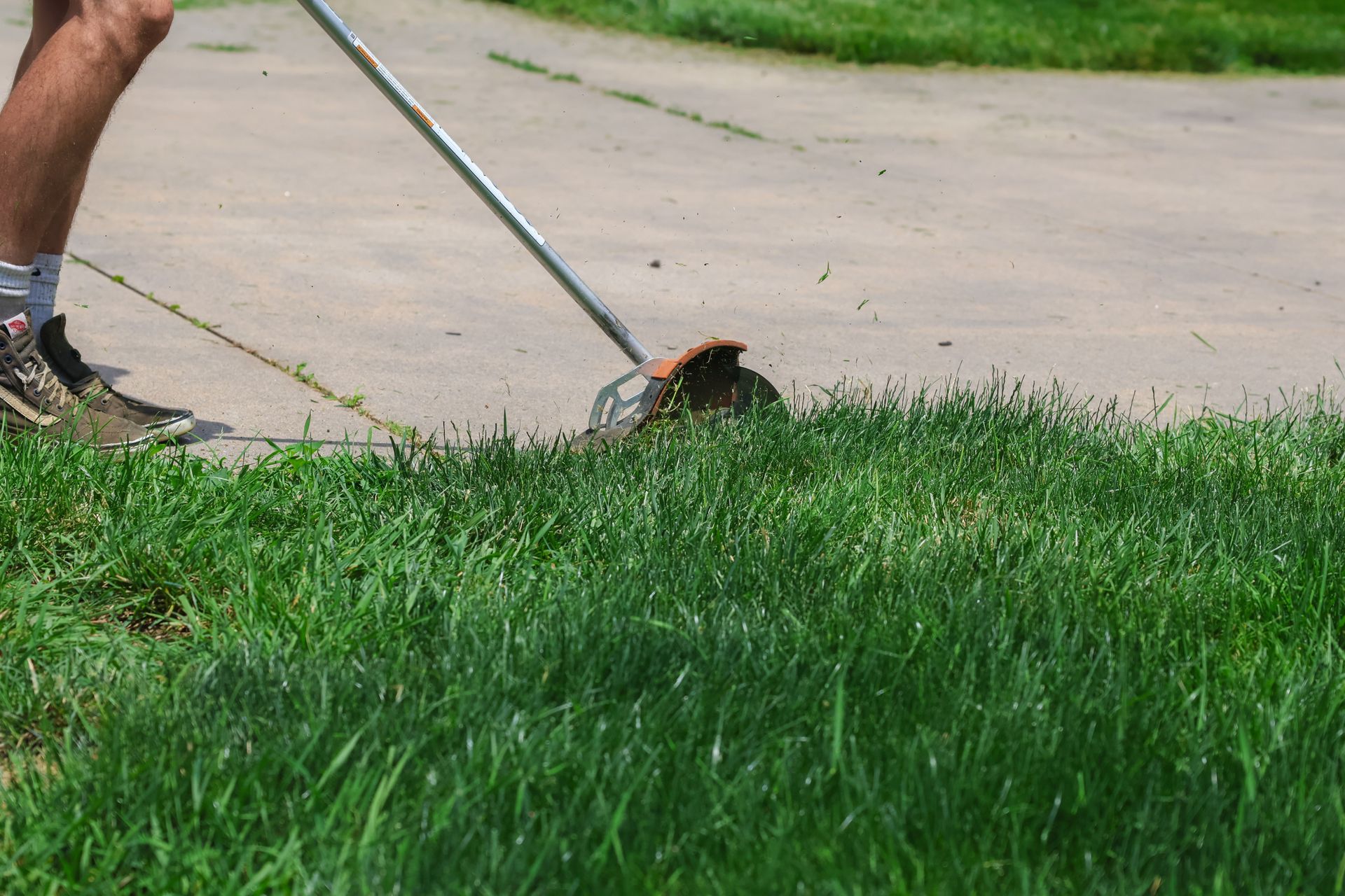 String trimmer cutting grass along a sidewalk.