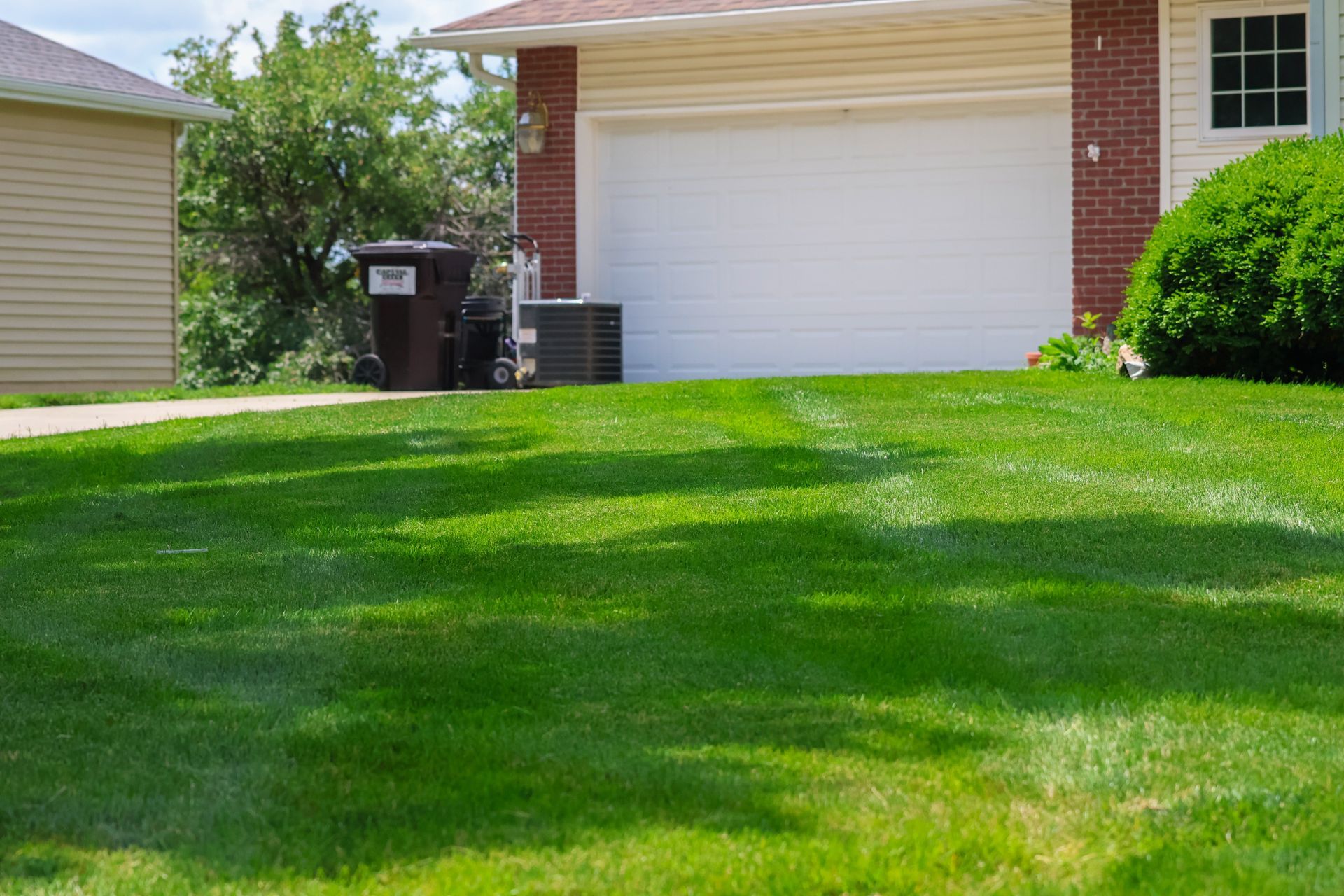 Green lawn in front of a house with a white garage door, trash cans, and a small bush.