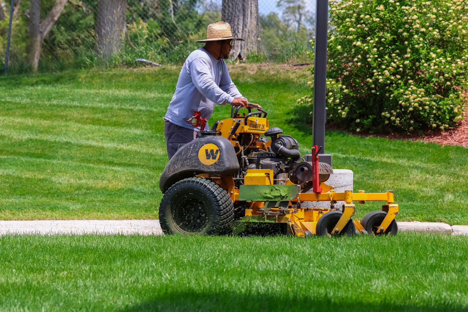 Man operating a yellow lawn mower on a green lawn near a sidewalk and a bush.