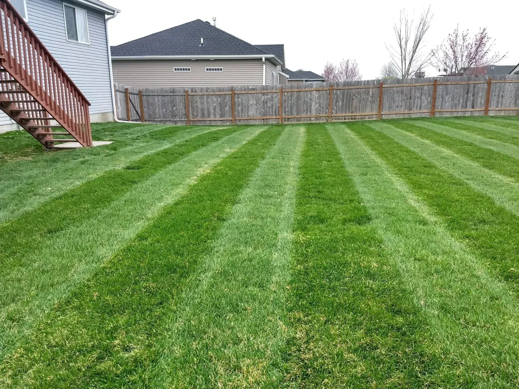 A lush green lawn with a fence and stairs in the background.