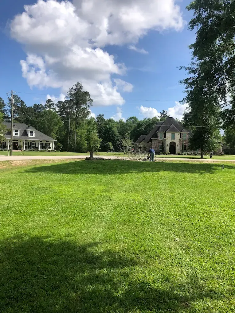 Sunny park lawn with trees, two houses, and people walking under a partly cloudy sky