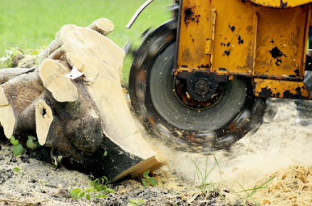 Excavator wheel crushing a stuffed animal in dirt, with dust flying