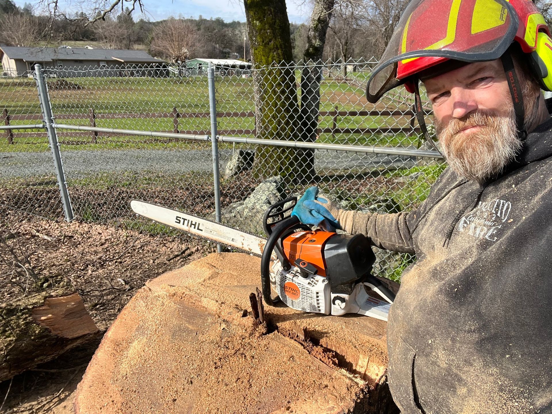 Man in safety helmet using a chainsaw to cut a large stump outdoors by a fence.