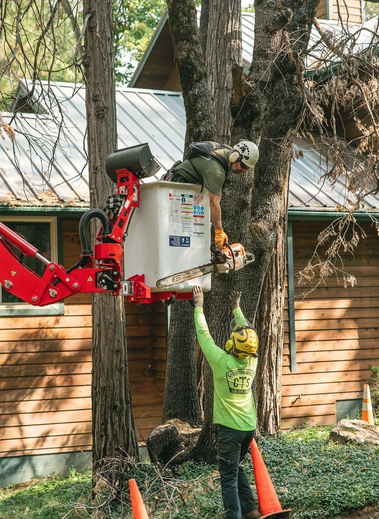 Worker in neon vest trimming a tree from a bucket lift beside a wooden house