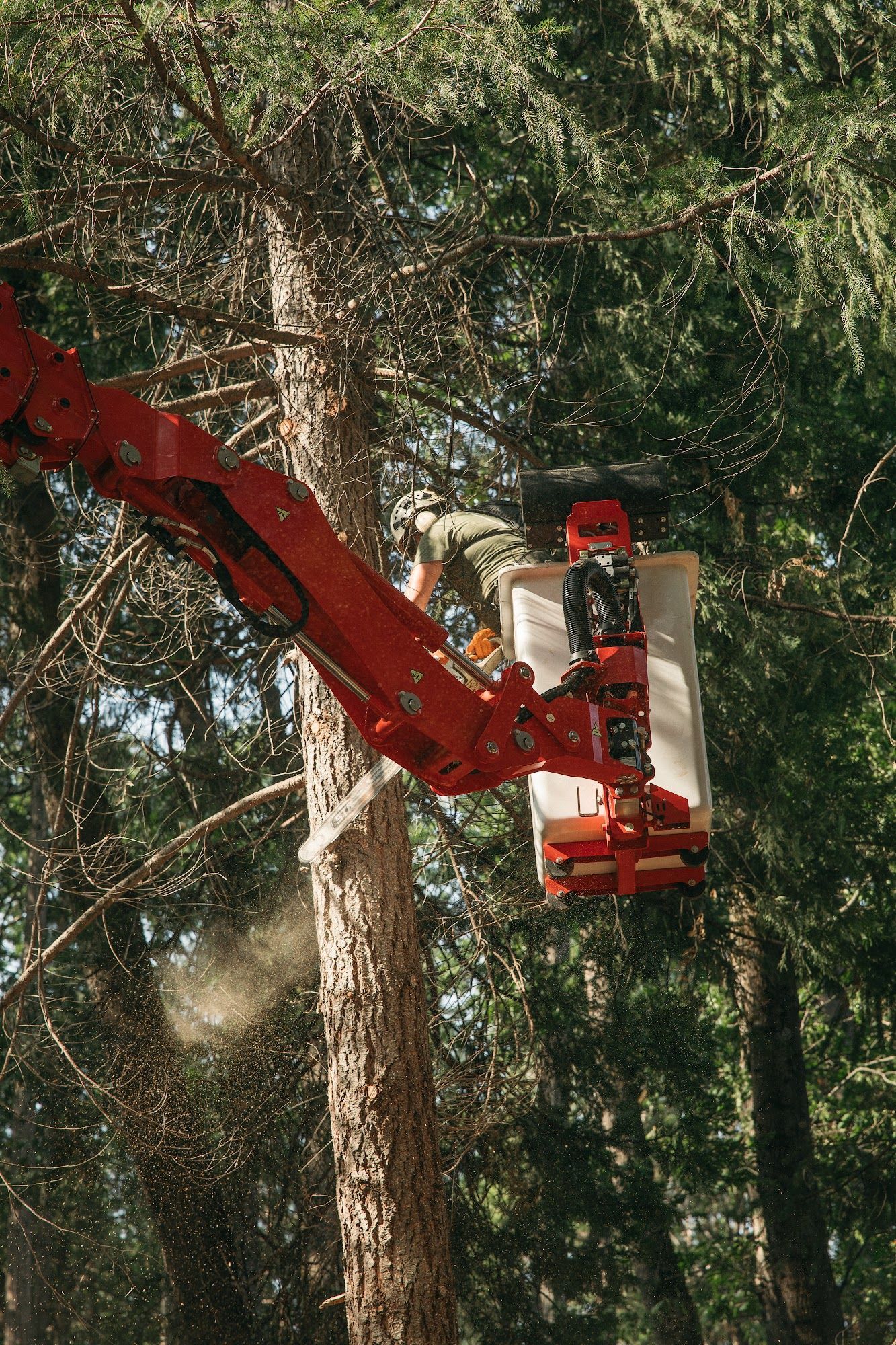 Red cherry picker lift working among tall trees in a forest area