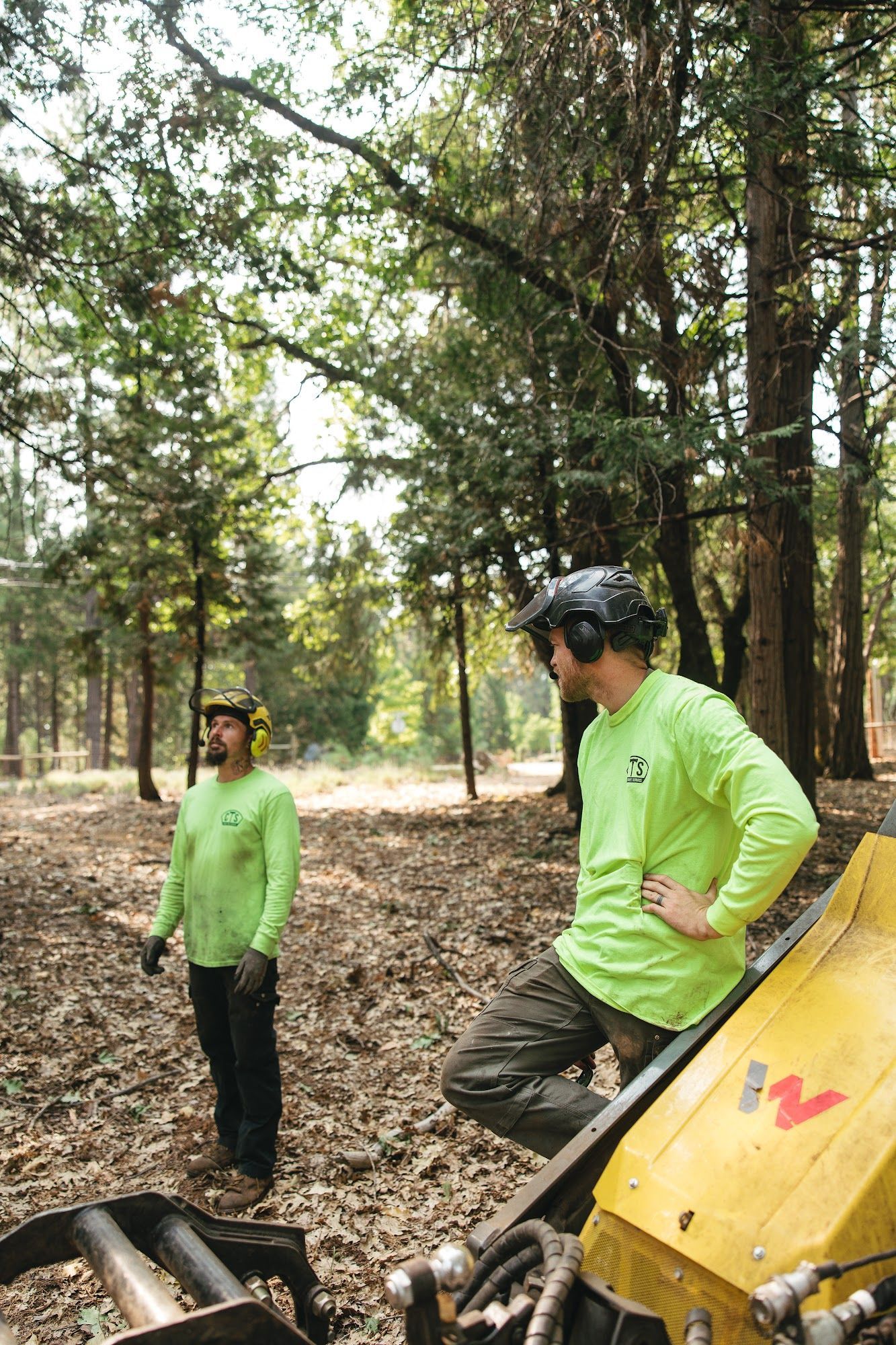 Two people in neon green gear stand among trees near a yellow off-road vehicle in a wooded area.