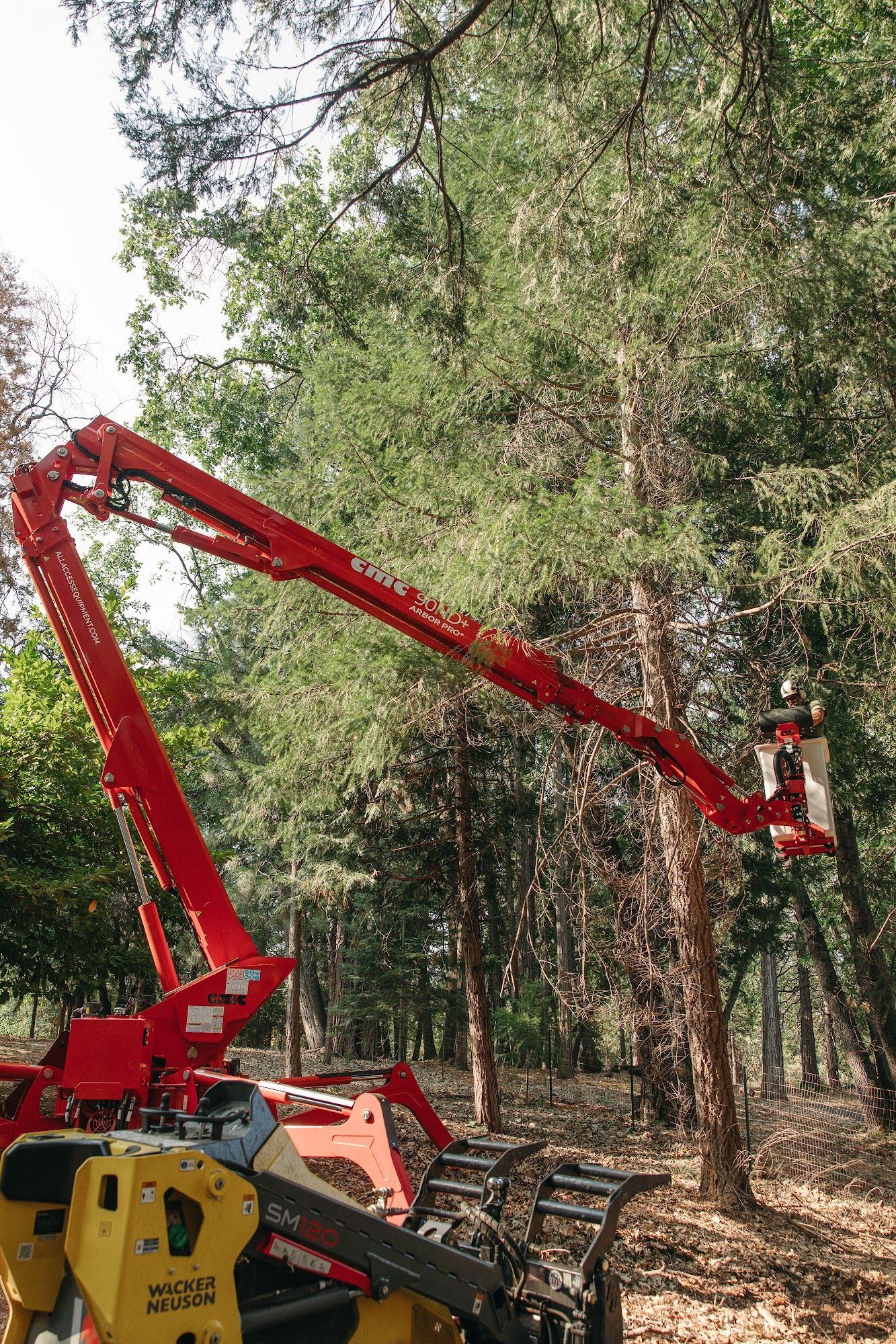 Red forestry machine with extended arm trimming a tree in a wooded area