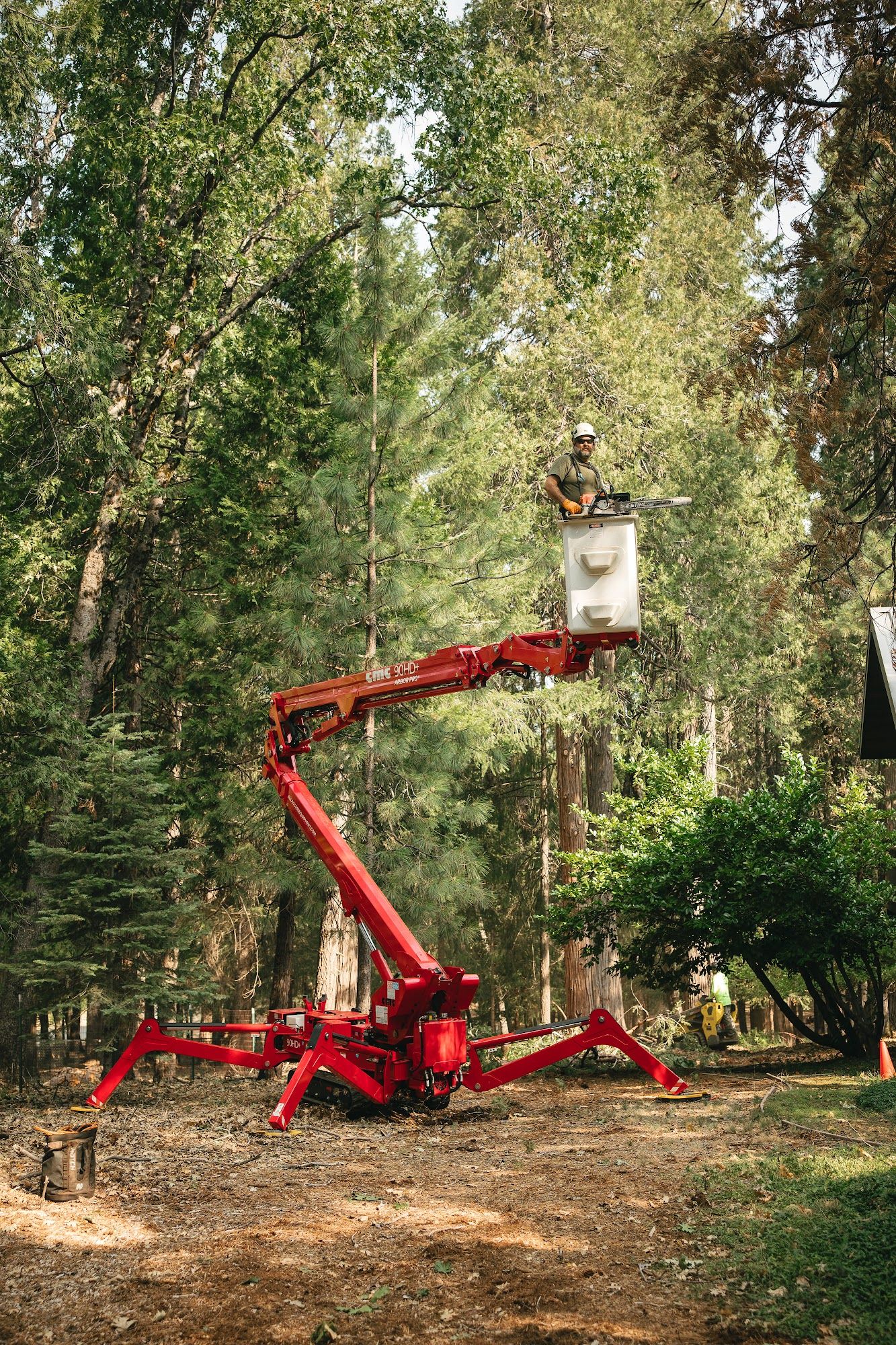 Red forestry lift with worker in bucket among tall trees in a wooded area