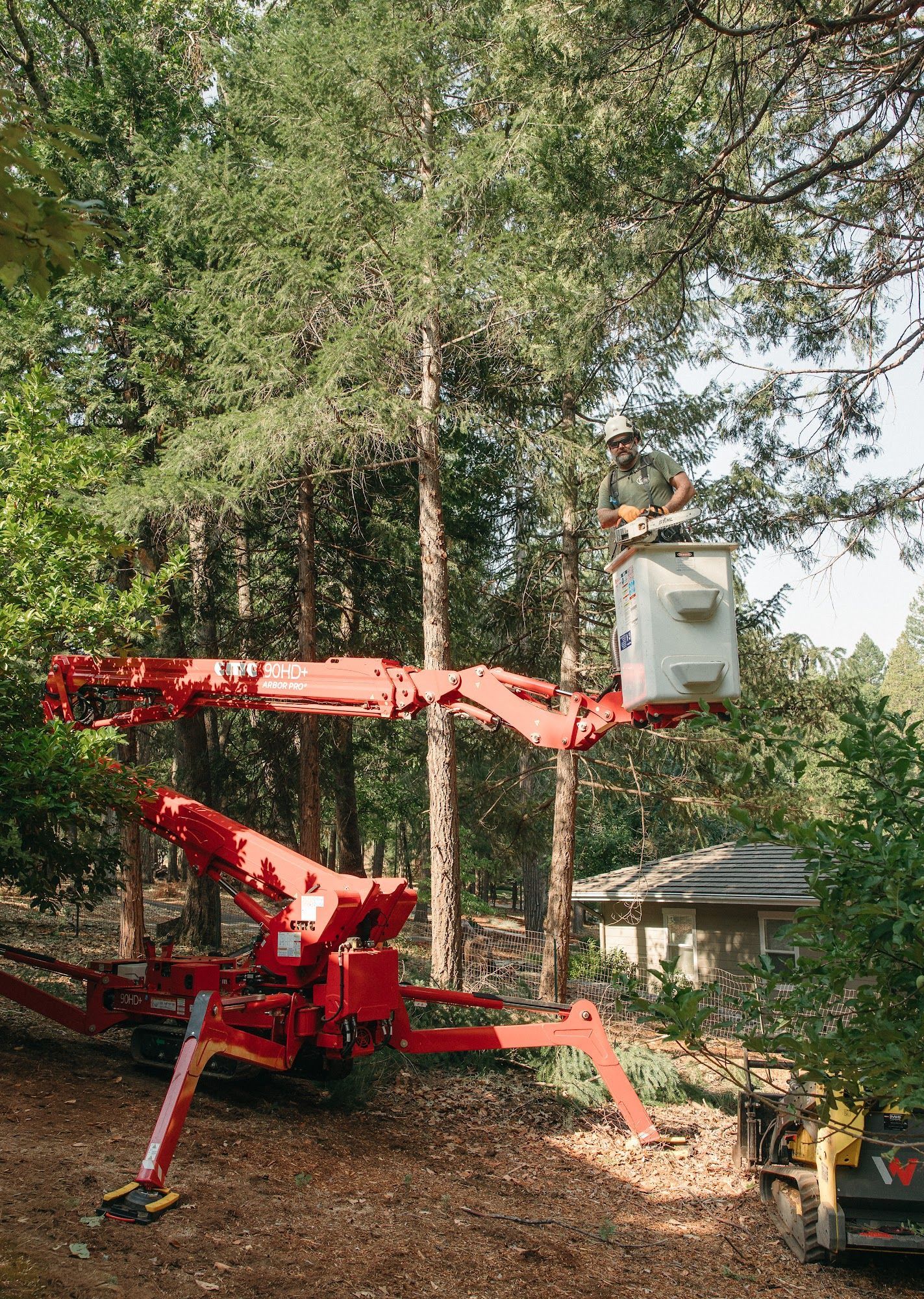 Red cherry picker lifting a worker basket among tall trees in a wooded yard