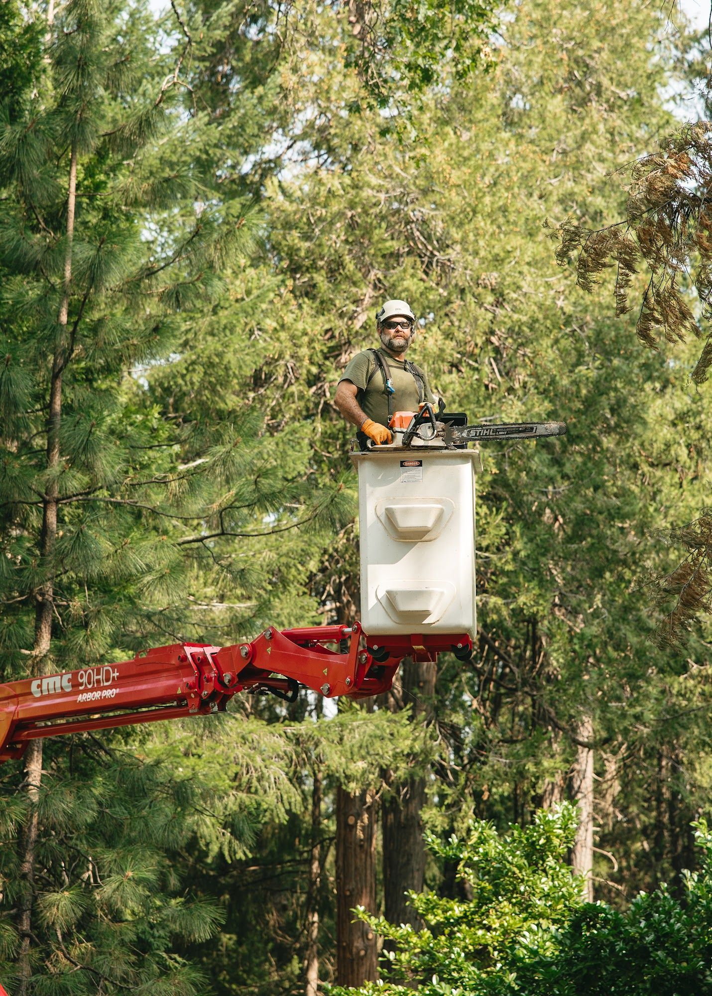 Worker in a red cherry picker trimming tall trees in a wooded area