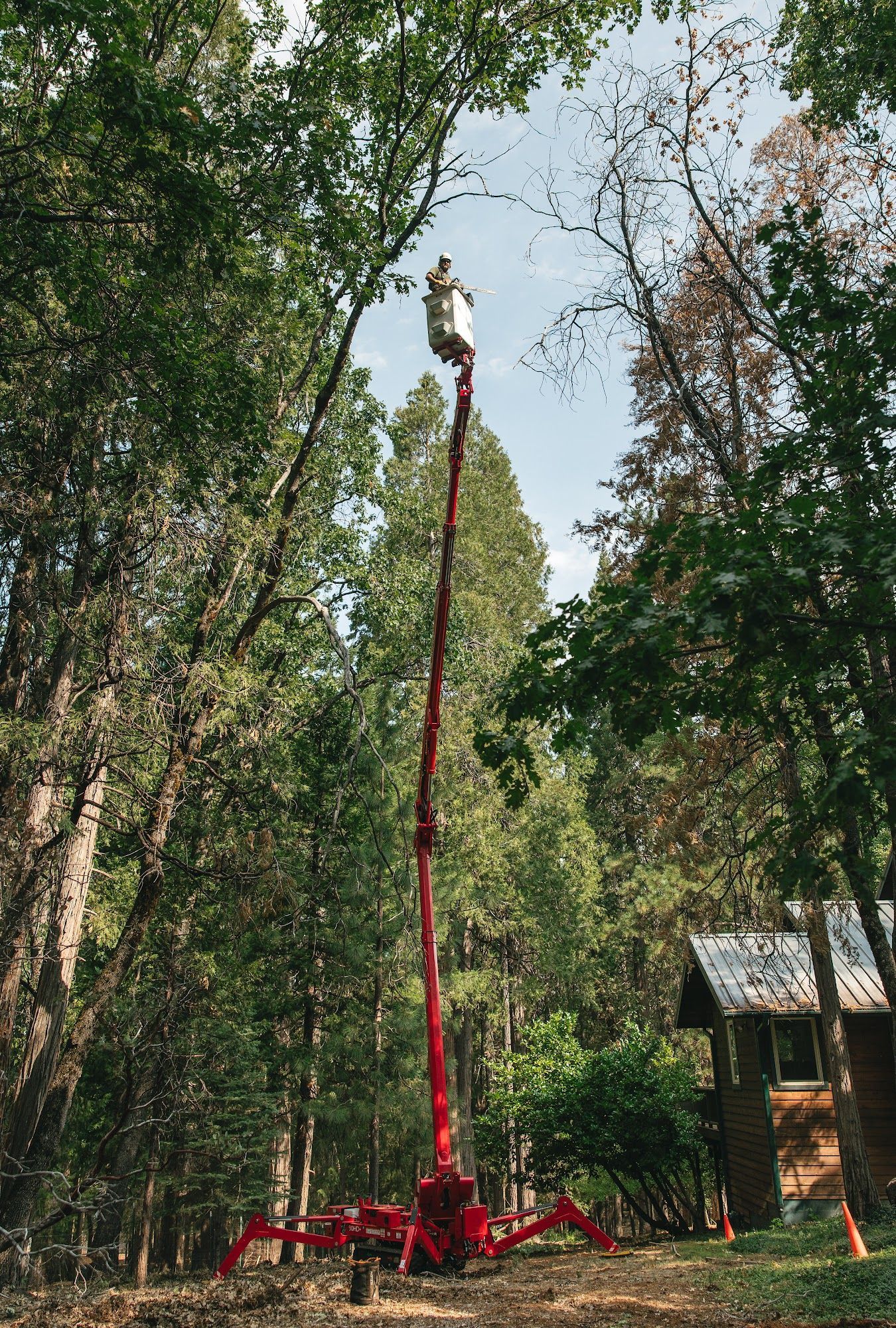 Red boom lift extended high among trees in a wooded area near a small building.