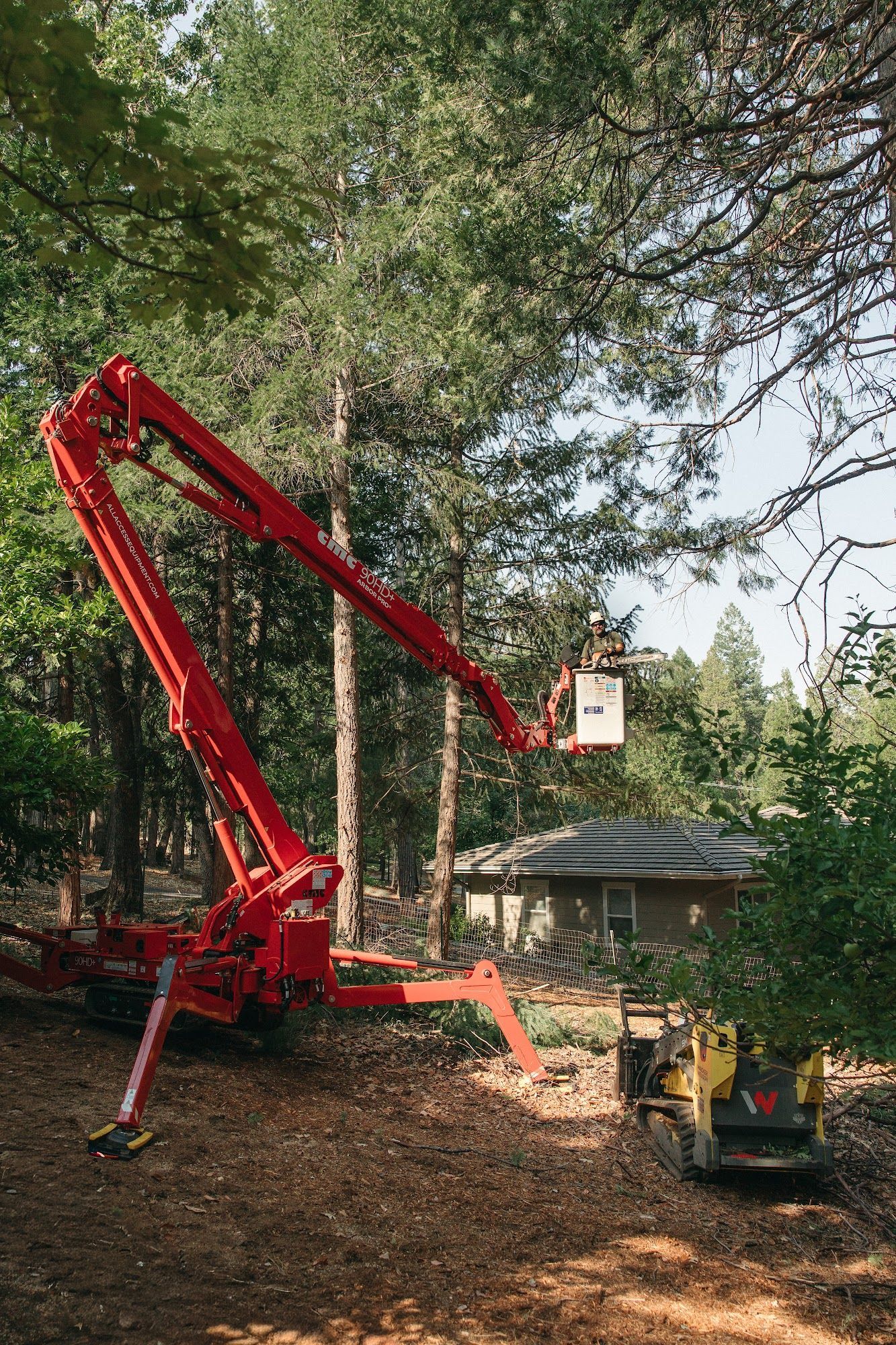 Red boom lift reaching into tall trees beside a house and work truck in a wooded yard