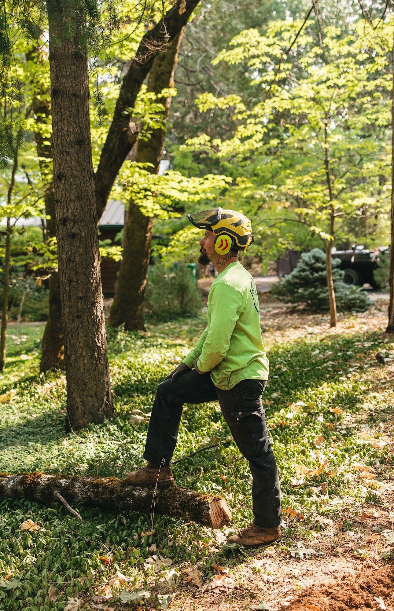 Person in a green shirt and yellow helmet standing on a log in a wooded park.