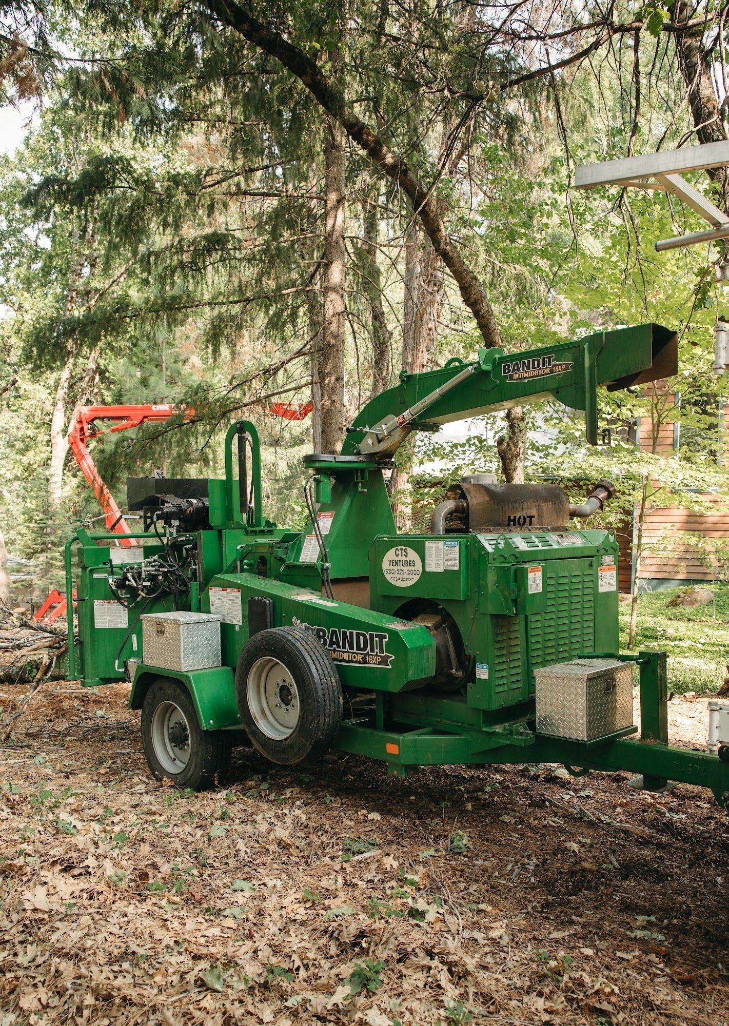 Green wood chipper in a forest, chipping branches beside a tree with cut logs nearby.