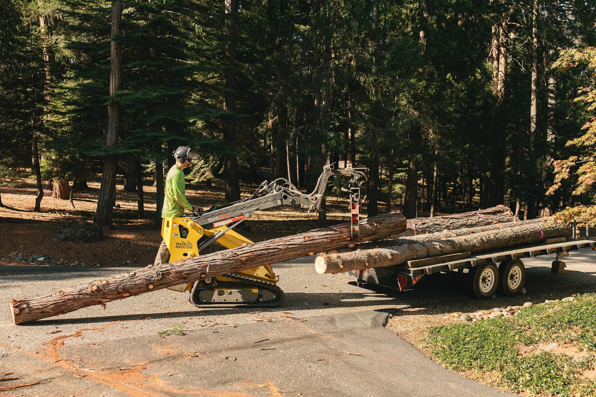 Worker using a yellow machine to load a long log onto a trailer in a forest clearing