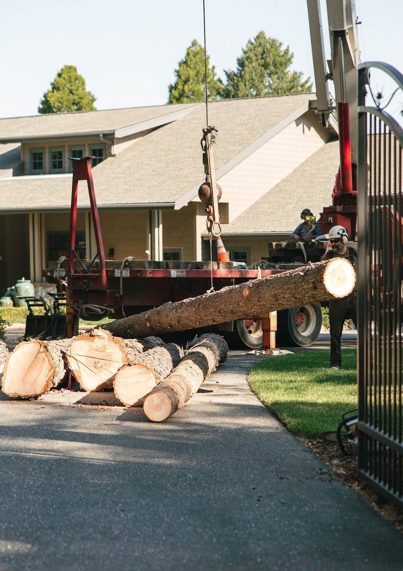 Workers load a large felled tree onto a trailer in a residential driveway.