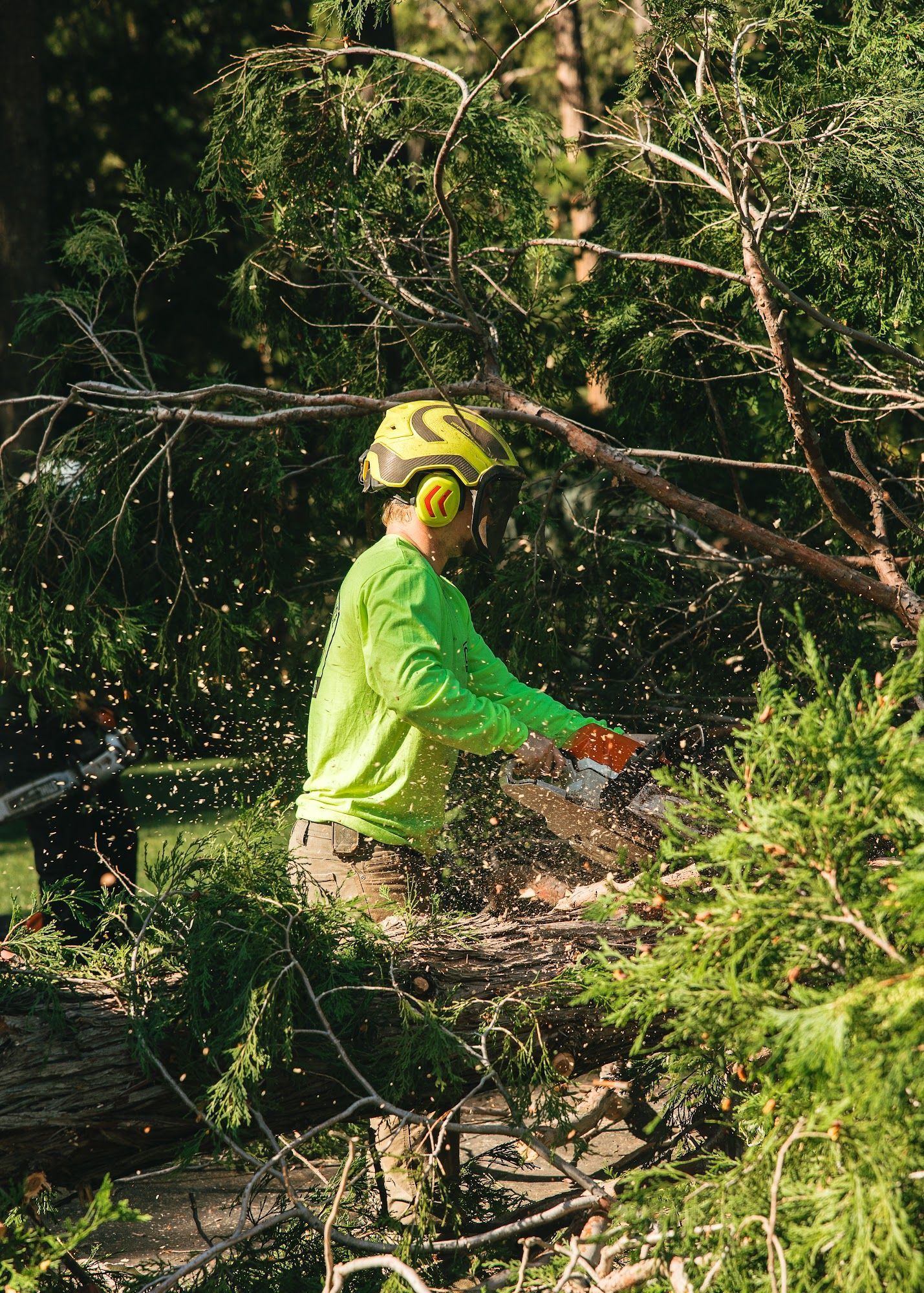 Person in a neon green shirt and yellow helmet clearing branches with a chainsaw in a wooded area