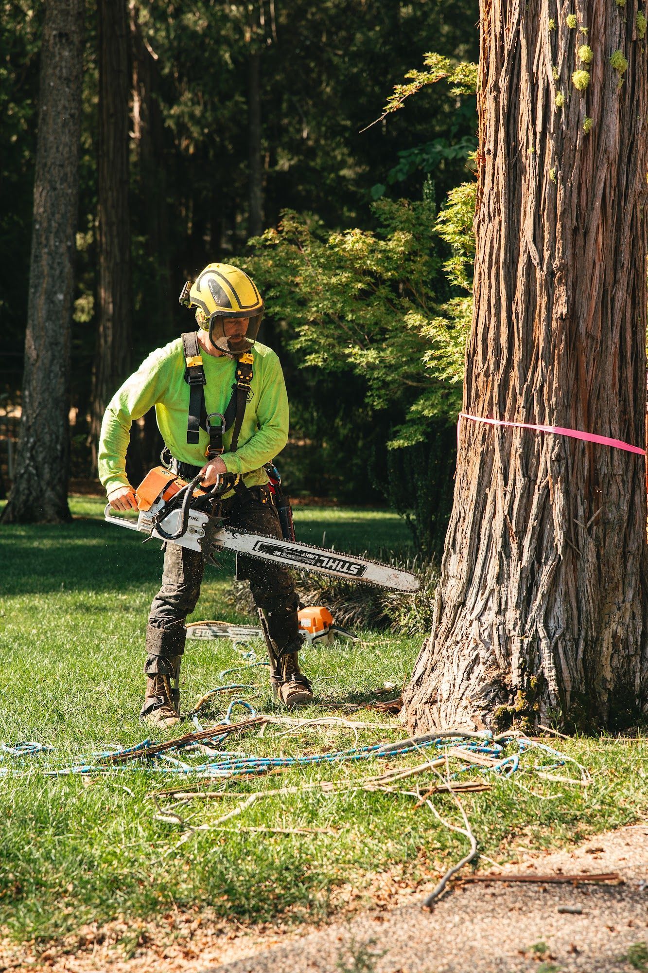 Worker in green safety gear using a chainsaw near a large tree in a wooded area.
