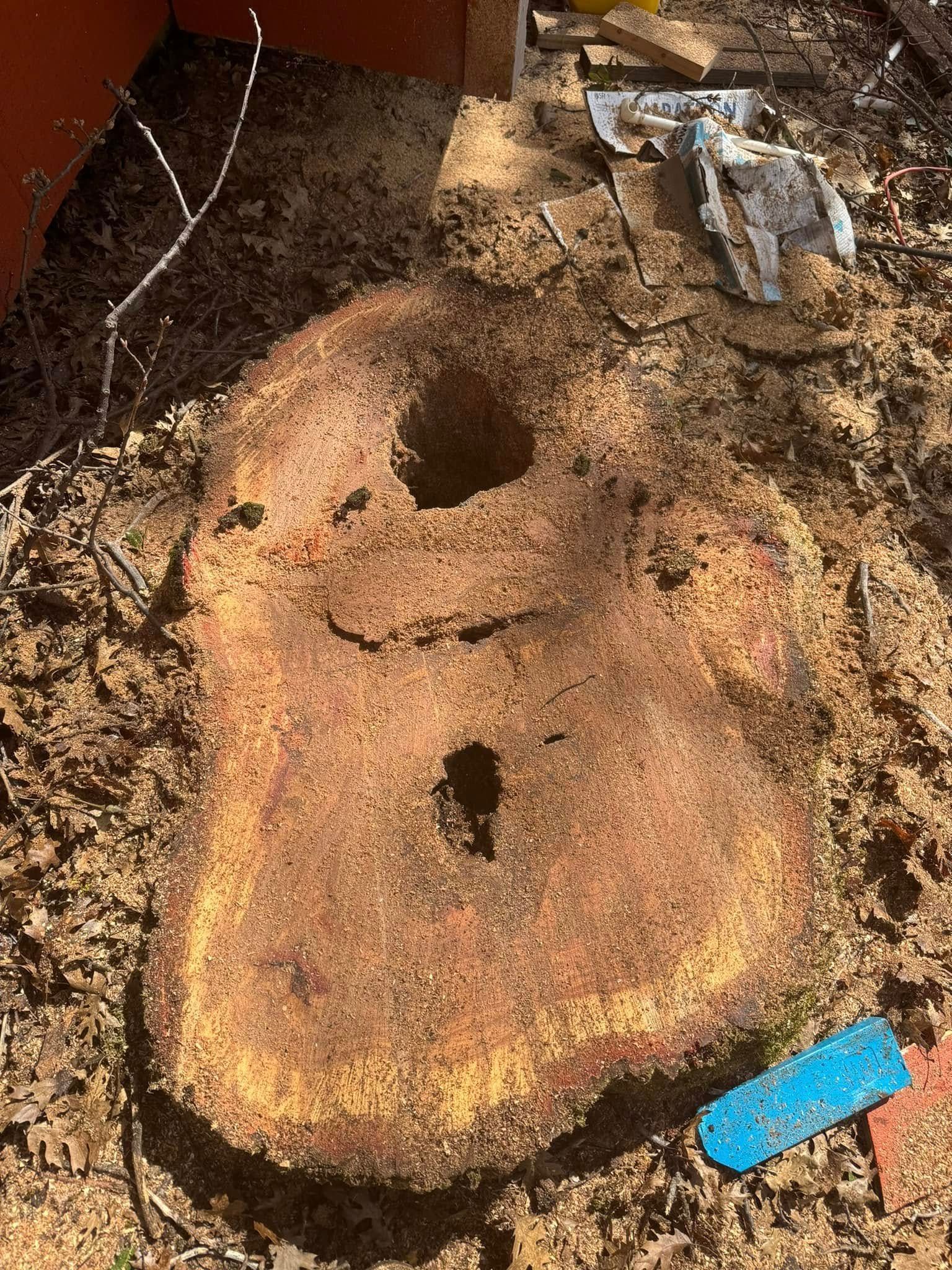 Mushroom-shaped tree stump with carved face in dirt, with a blue tool nearby.