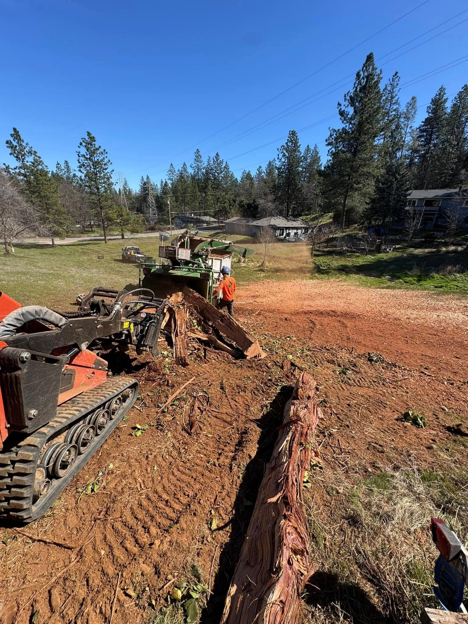 Tracked excavator clearing red dirt trail in a pine forest under blue sky