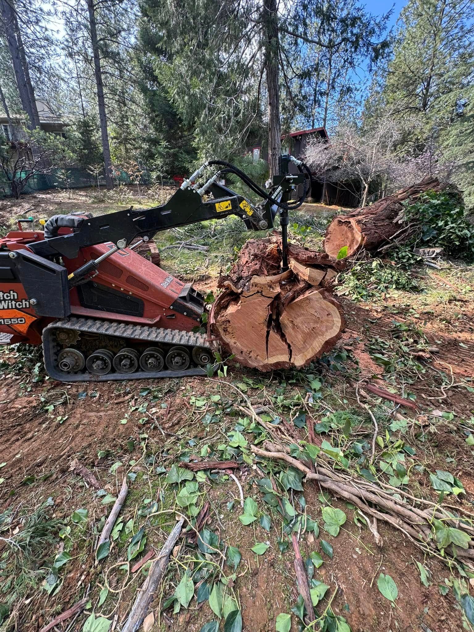 Compact tree stump grinder chewing through a large cut log in a wooded yard, with fresh debris on the ground