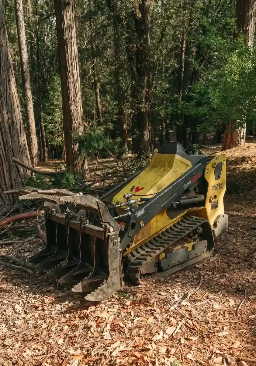 Yellow tracked skid steer with brush rake in a wooded area covered with leaves