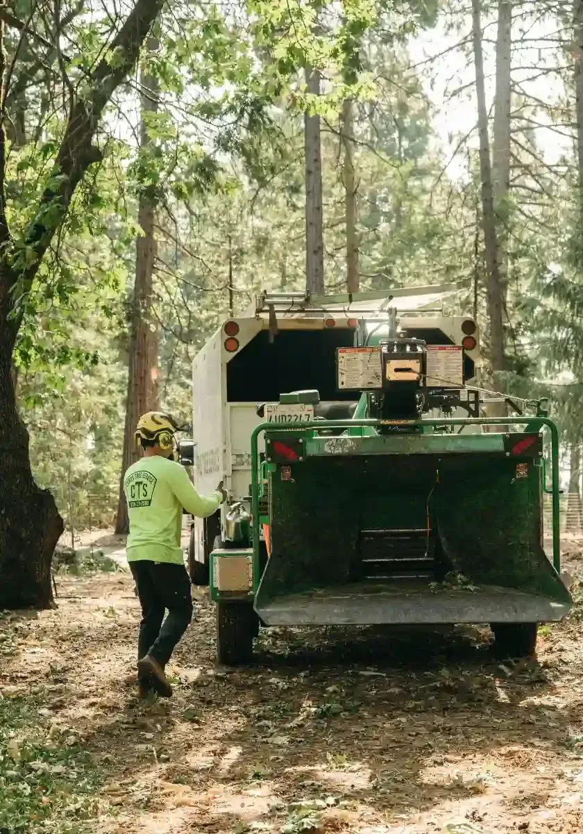 Worker beside a green-and-white wood chipper truck in a wooded area