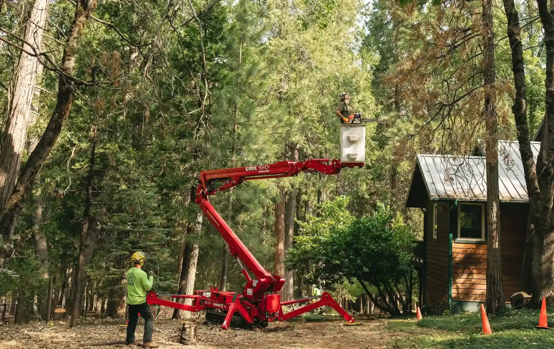 A worker in a red bucket lift trims trees beside a small cabin in a wooded area.