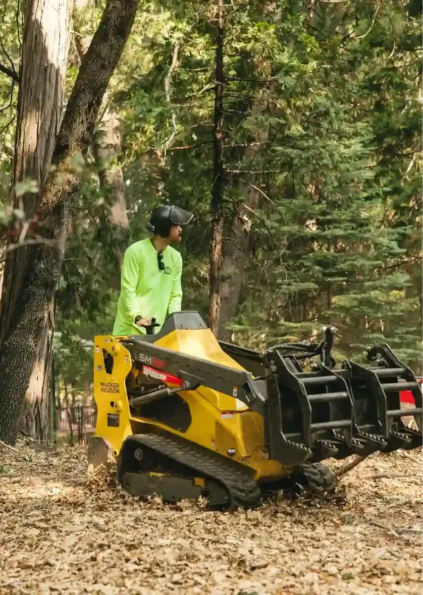 Worker in neon green jacket operates a yellow tracked machine in a wooded area.